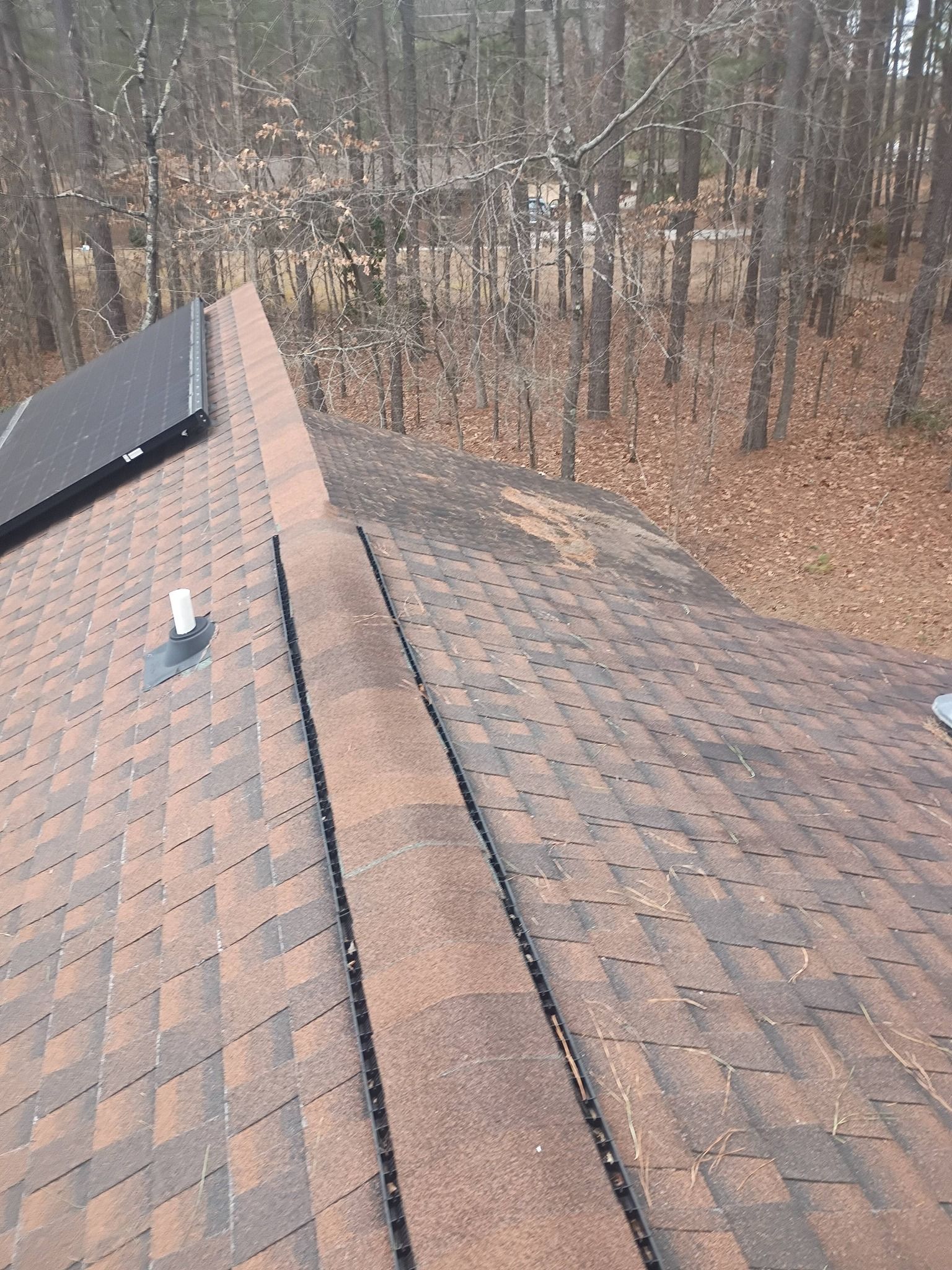 Rooftop shingles with a vent pipe and wooded trees in the background