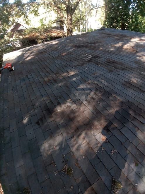 Dark shingle roof with dappled sunlight and trees in the background