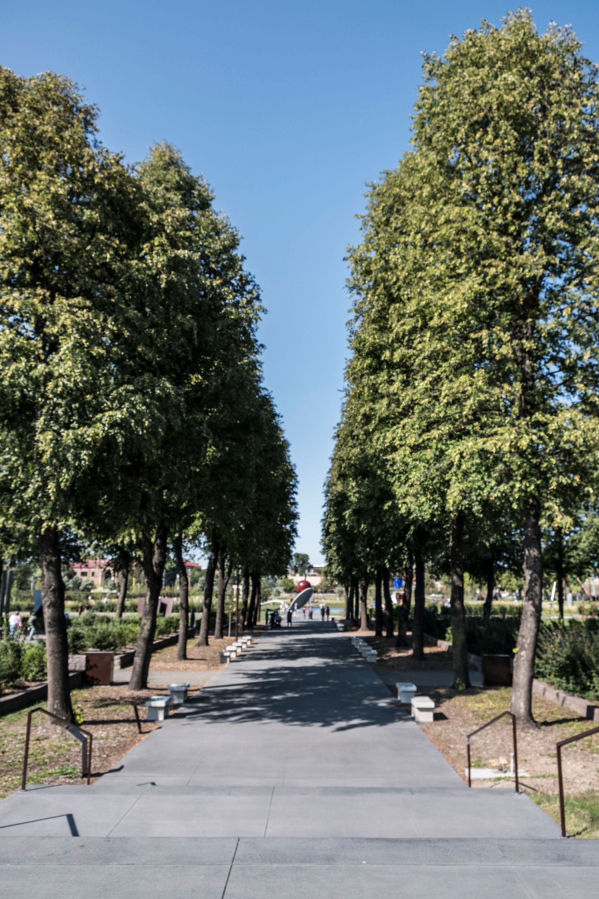 Loring Park Minneapolis Neighborhood