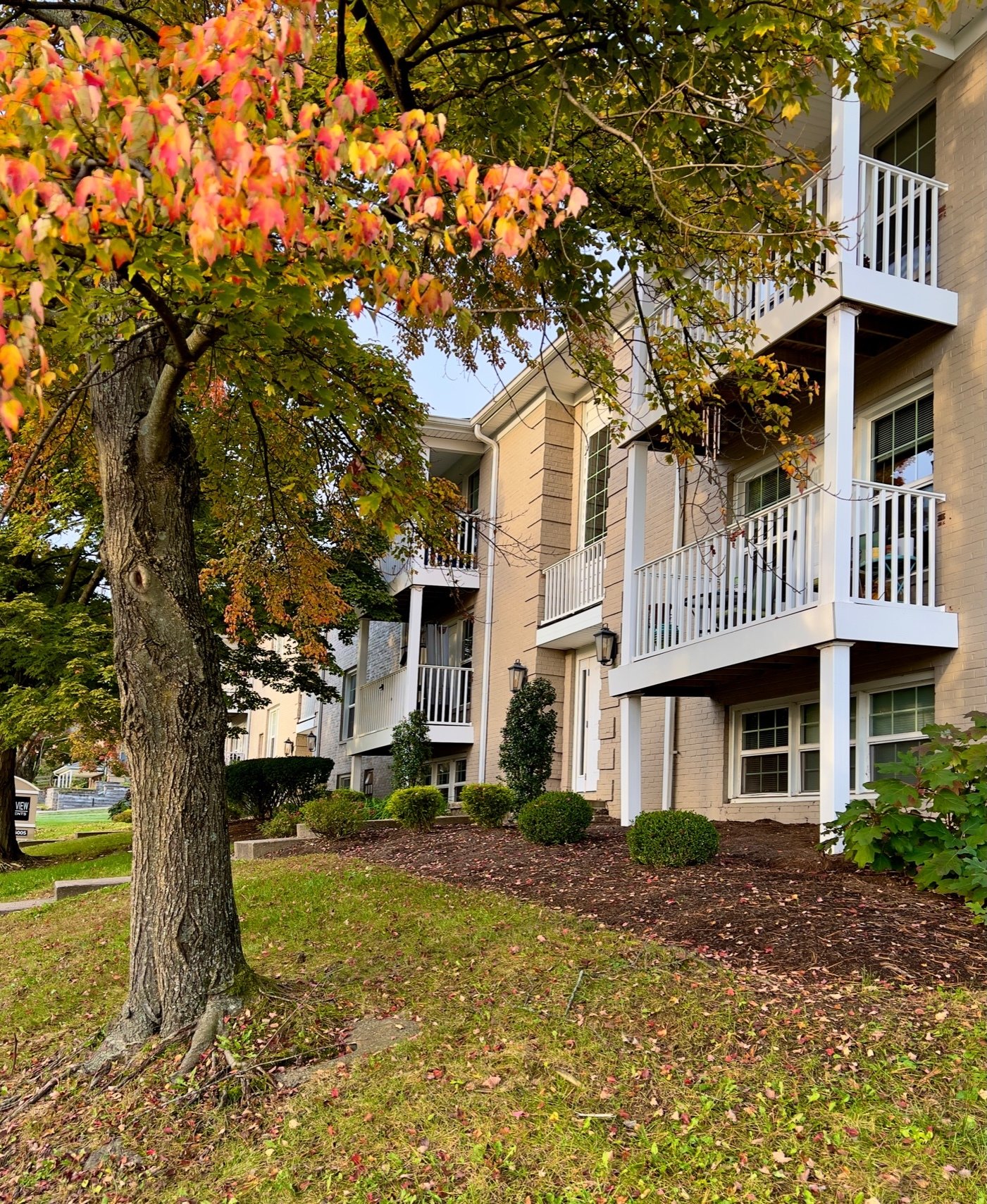 Home Forest View Apartments Lexington, KY