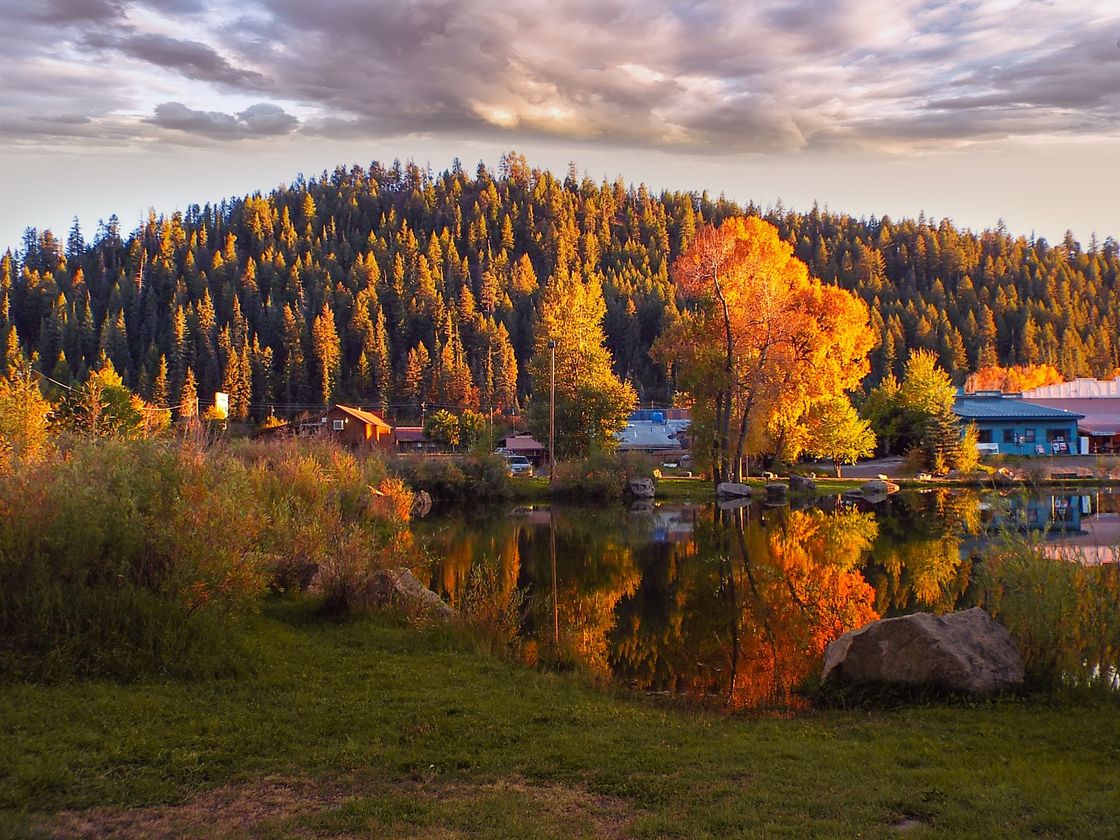 A lake surrounded by trees with a mountain in the background
