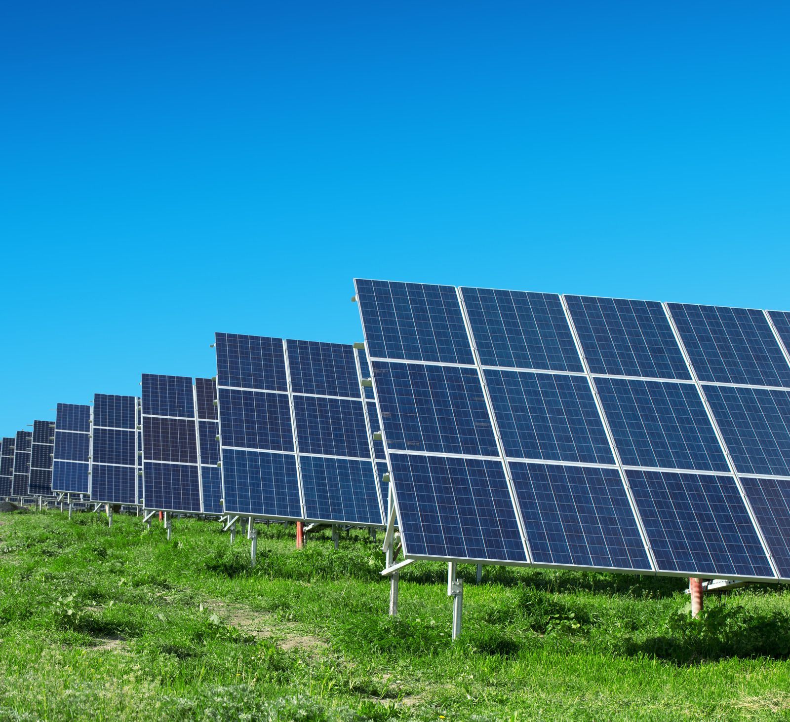 A row of solar panels in a grassy field