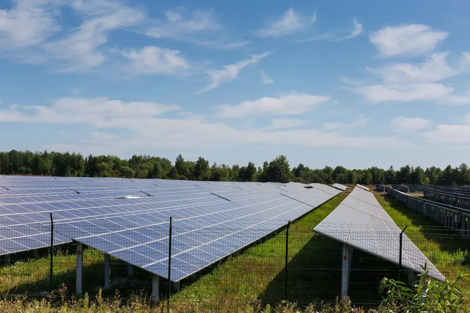 A row of solar panels sitting on top of a lush green field.