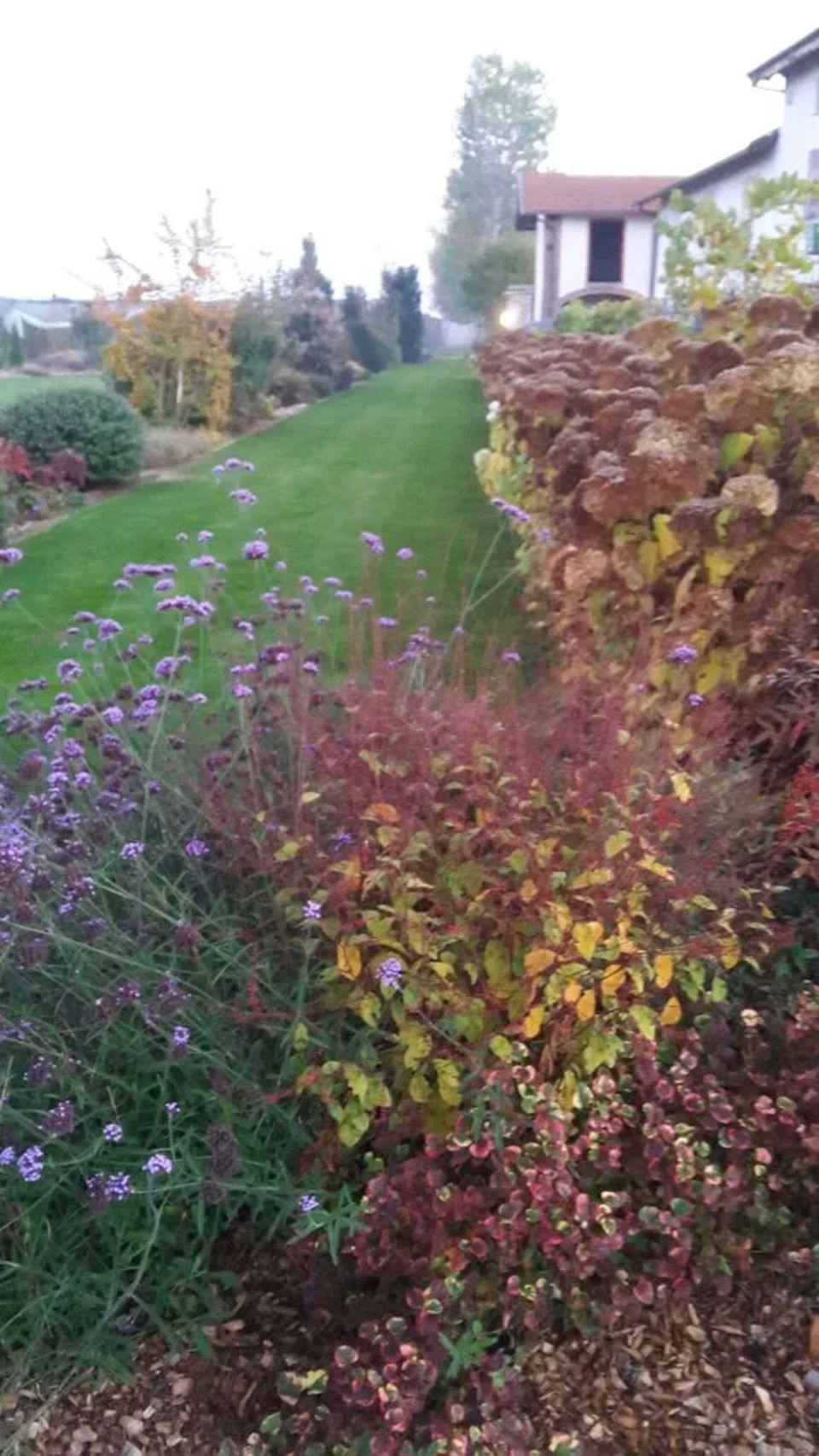 Giardino fiorito