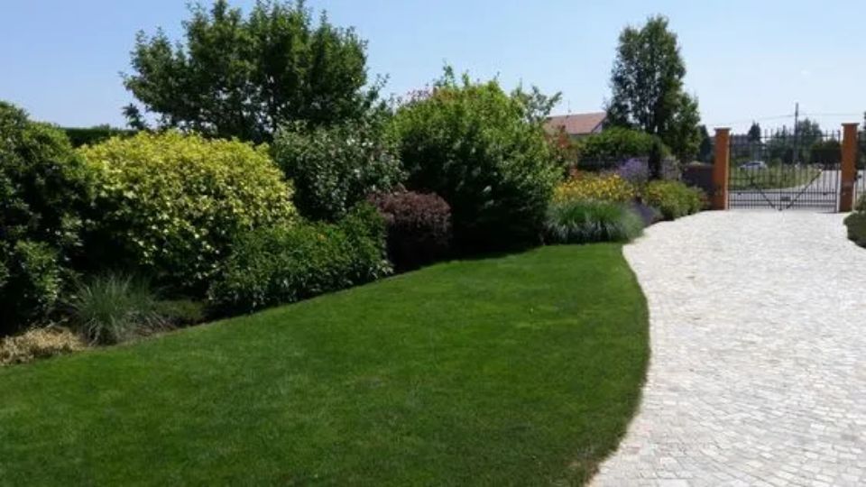 Giardino con piante