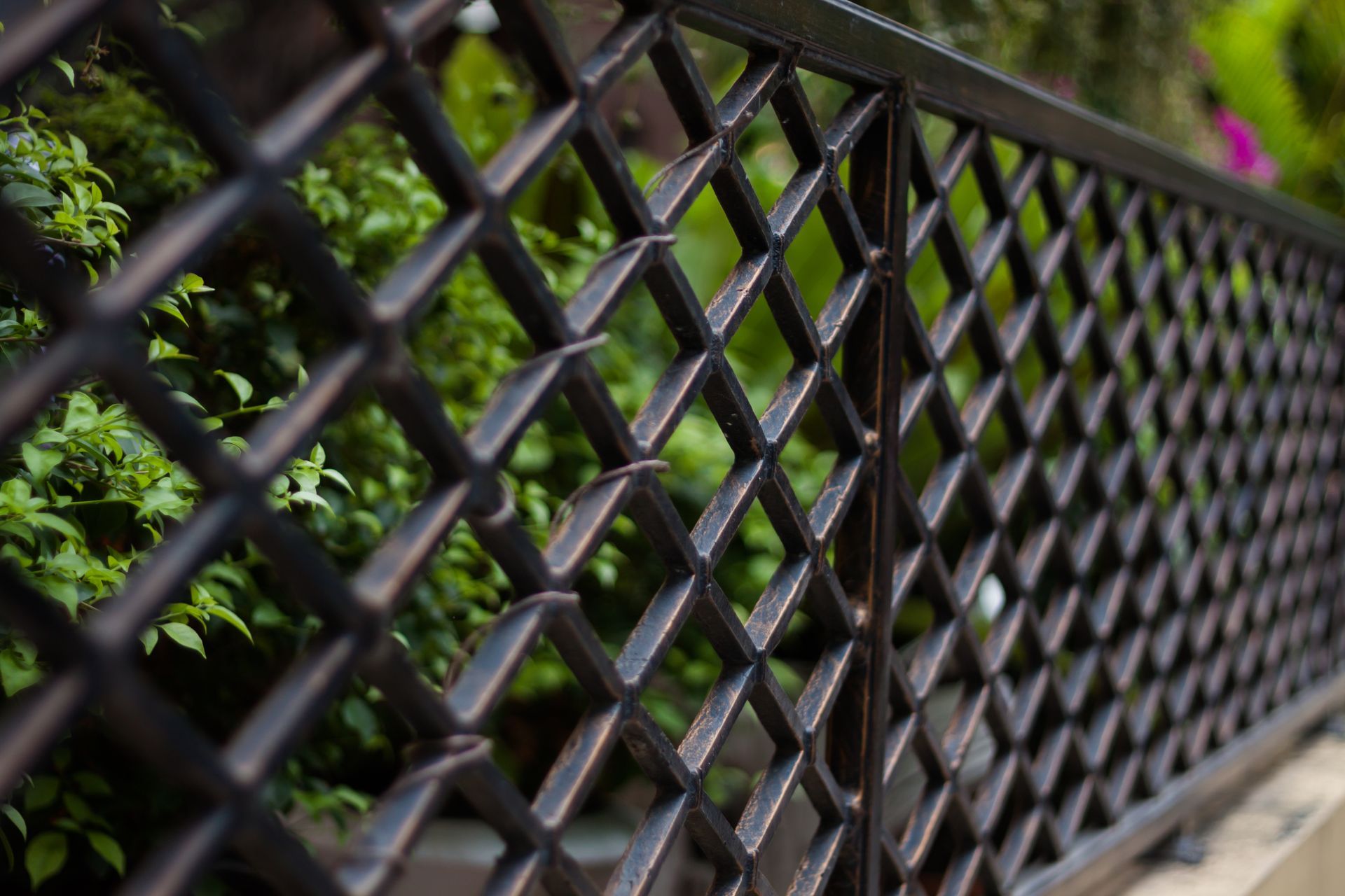 A close up of a metal fence with trees in the background.
