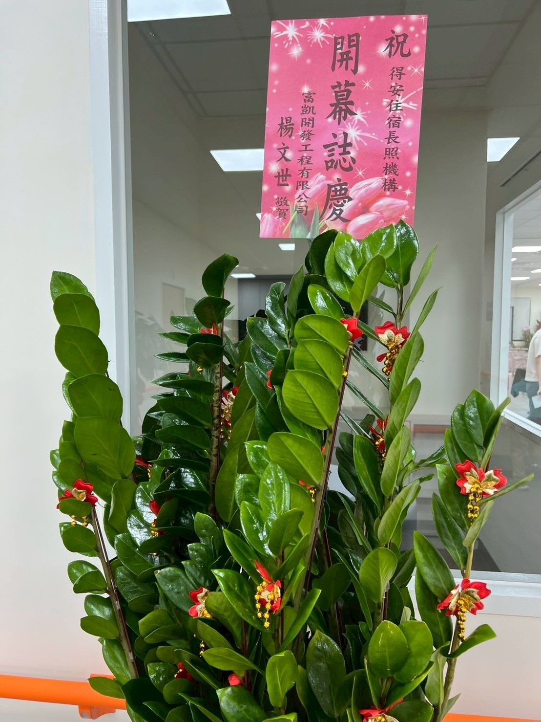 陶樂長照,照顧者,被照護者,長照服務,長期照顧,醫療服務,生活支持,心理支持,陪伴長者,行動失能,照護環境,專業照顧,安穩休息,飲食照護,復健理療