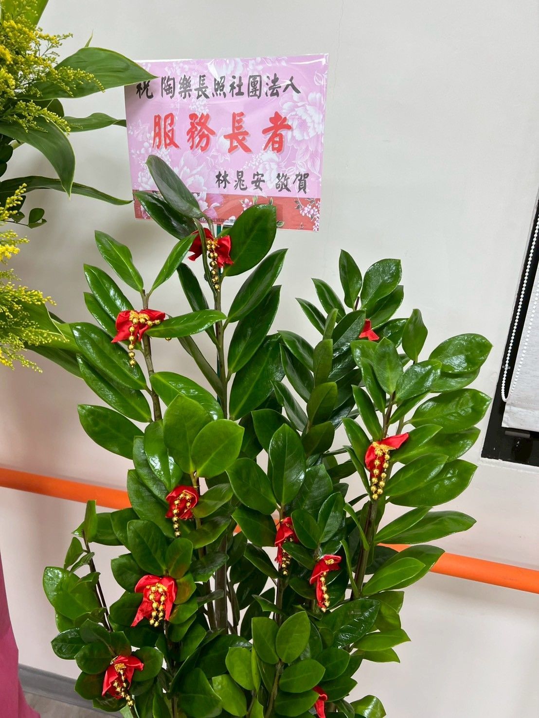 陶樂長照,照顧者,被照護者,長照服務,長期照顧,醫療服務,生活支持,心理支持,陪伴長者,行動失能,照護環境,專業照顧,安穩休息,飲食照護,復健理療