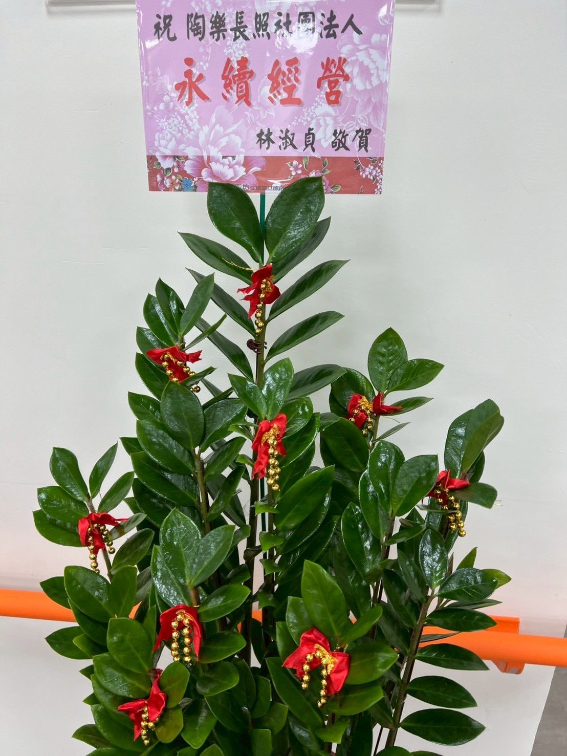 陶樂長照,照顧者,被照護者,長照服務,長期照顧,醫療服務,生活支持,心理支持,陪伴長者,行動失能,照護環境,專業照顧,安穩休息,飲食照護,復健理療