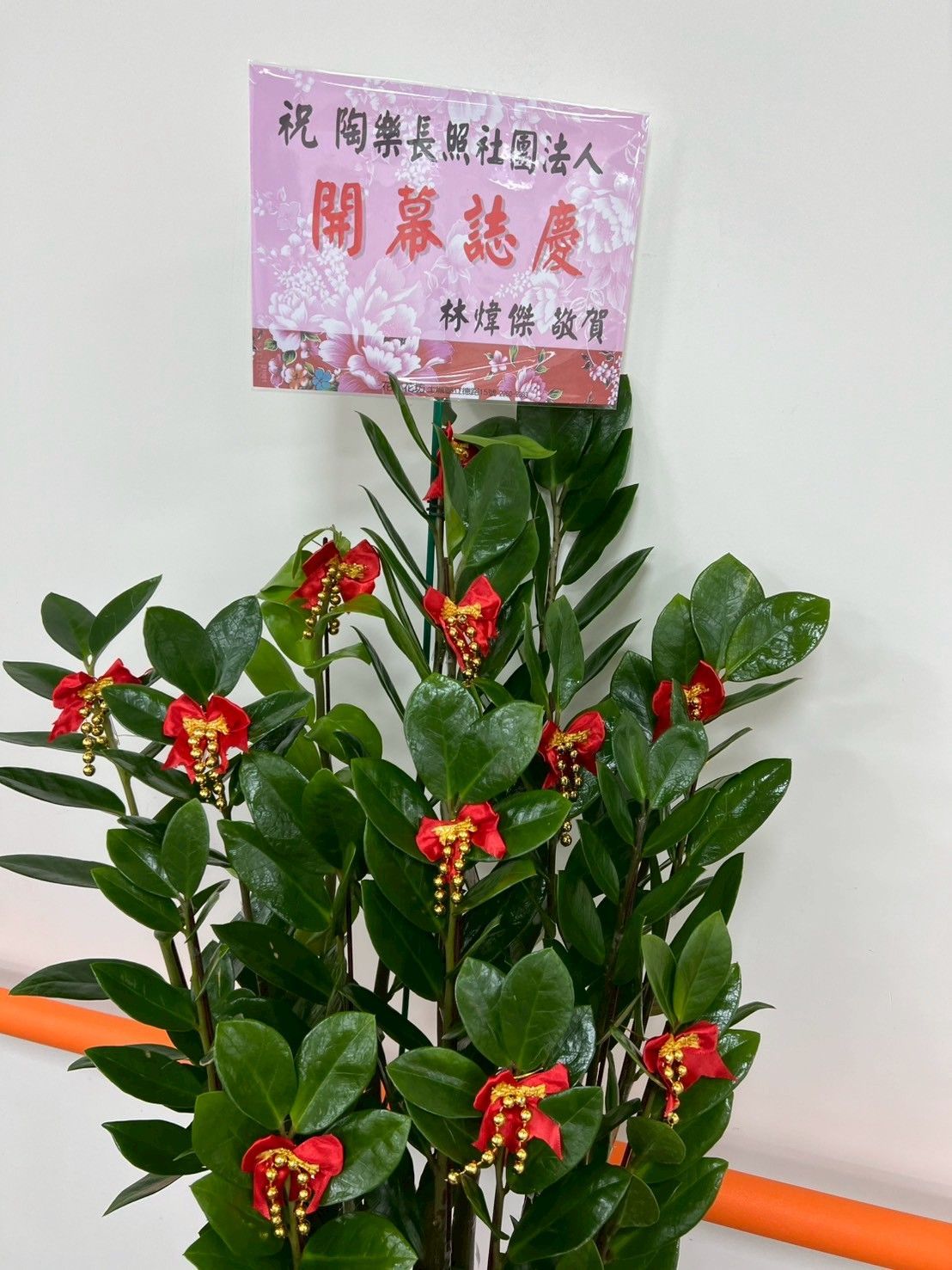 陶樂長照,照顧者,被照護者,長照服務,長期照顧,醫療服務,生活支持,心理支持,陪伴長者,行動失能,照護環境,專業照顧,安穩休息,飲食照護,復健理療