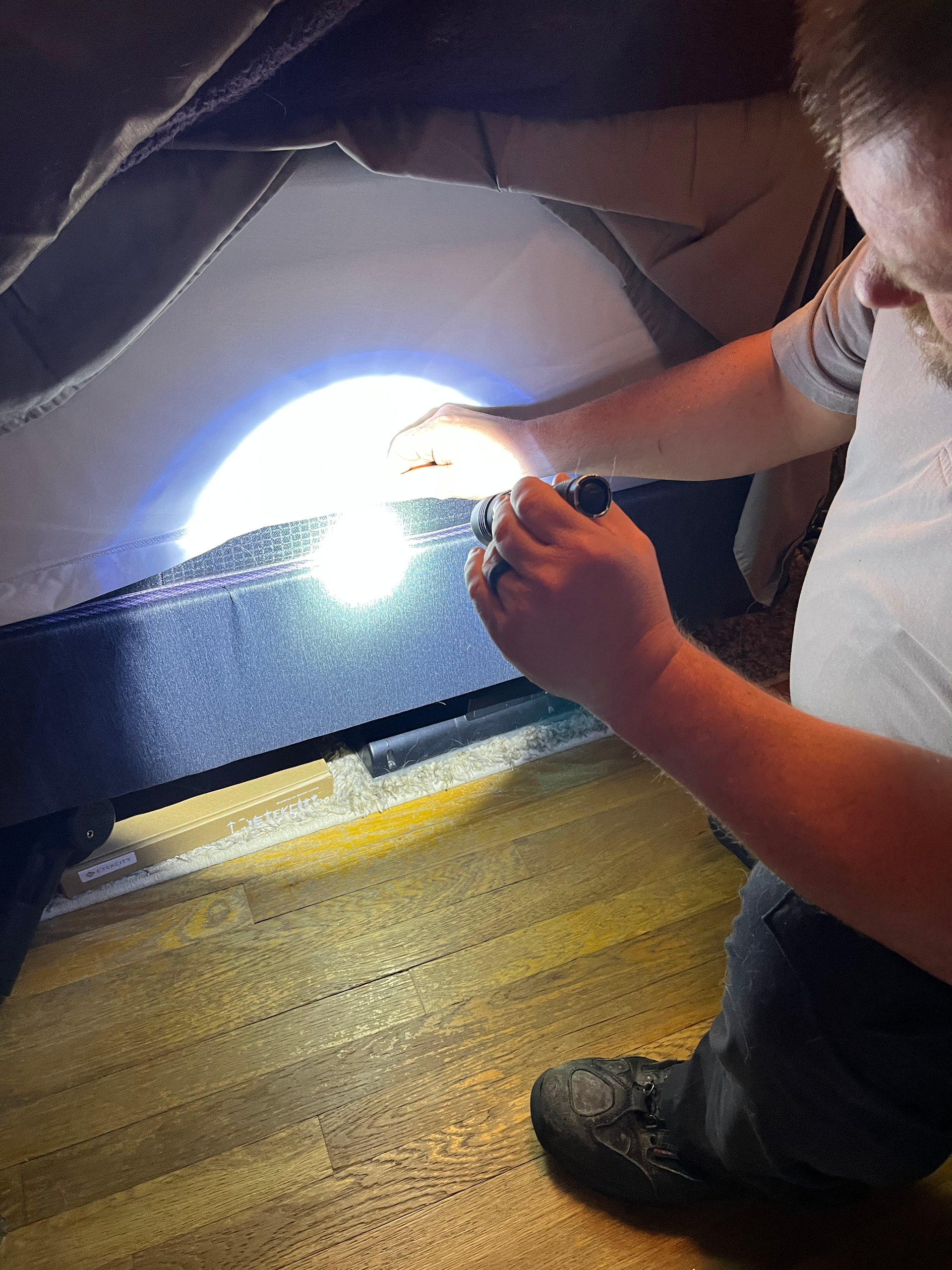 bed bug treatment by warrior pest