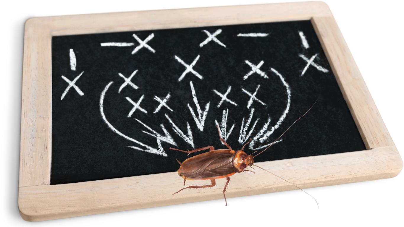 Pest control military strategies