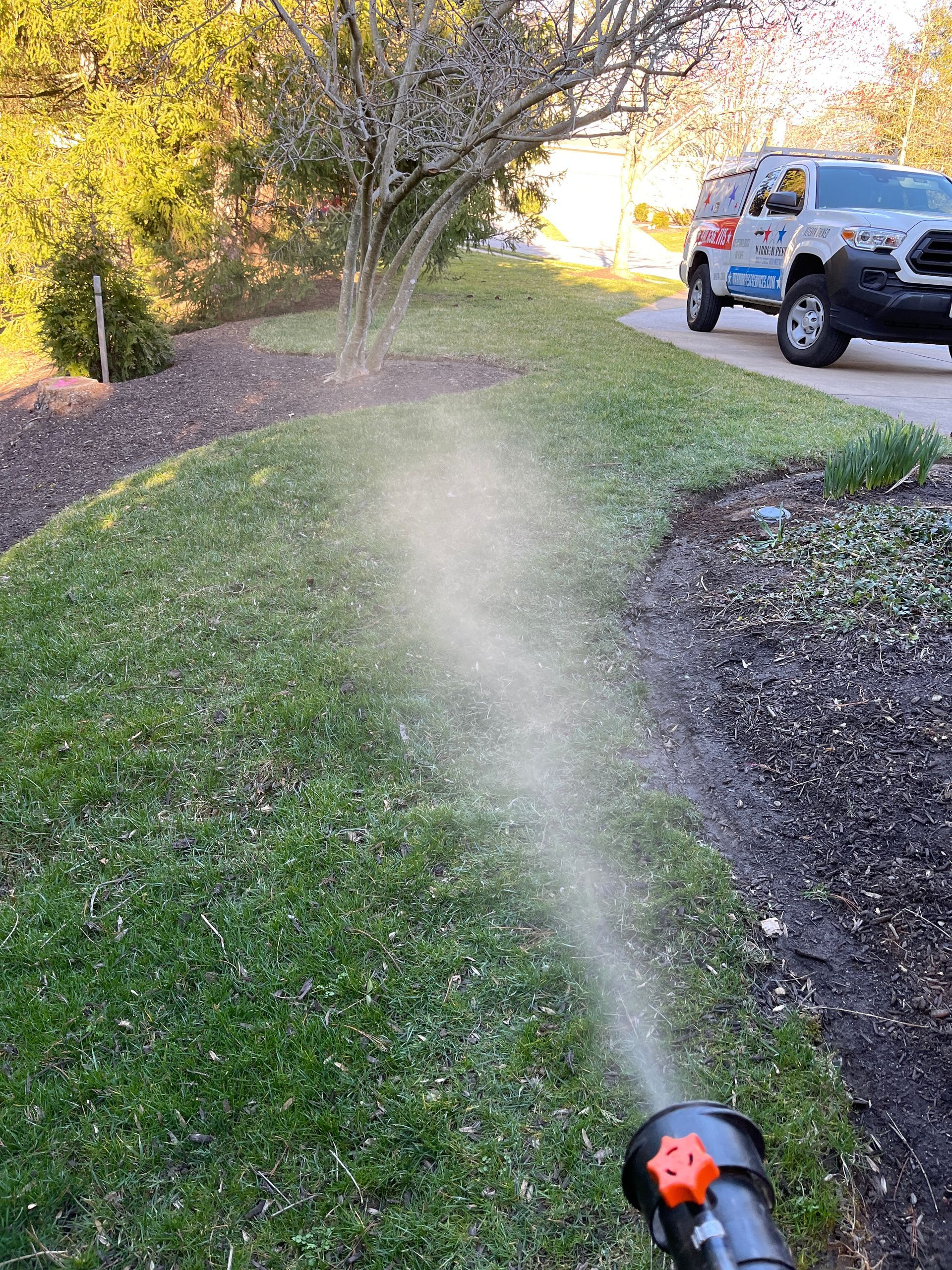 mosquito treatment