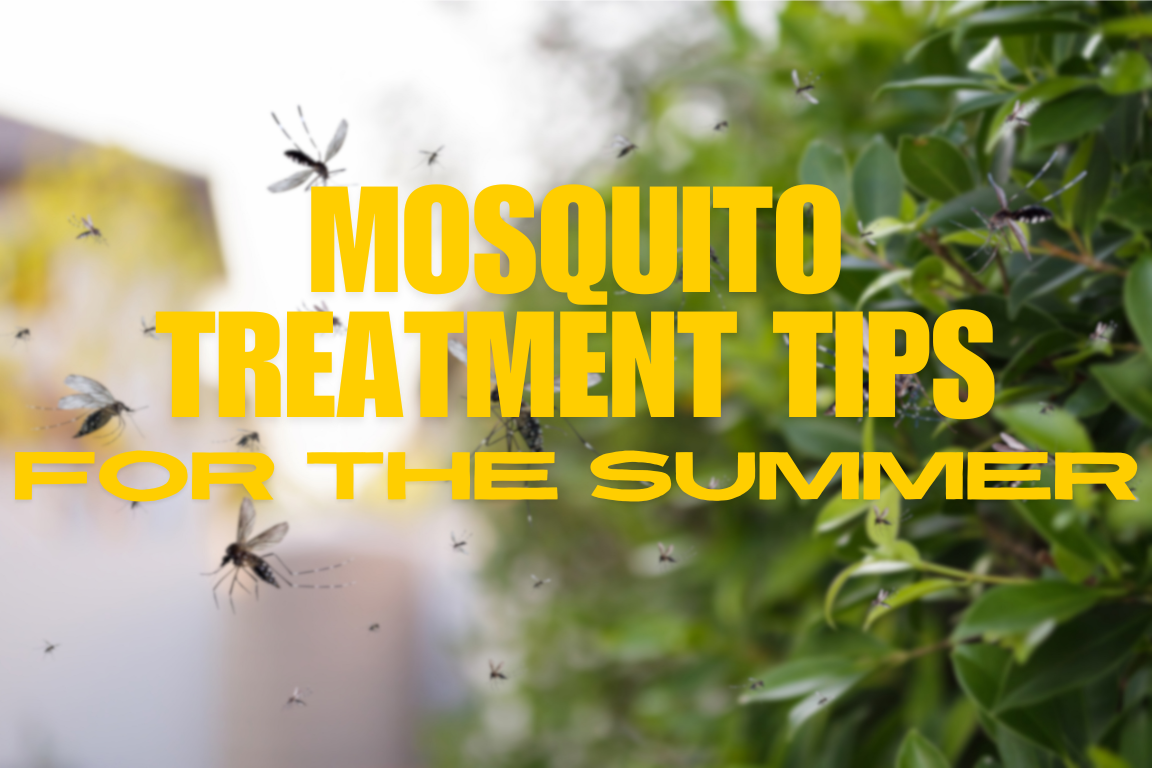 Summer Mosquito Treatment Tips
