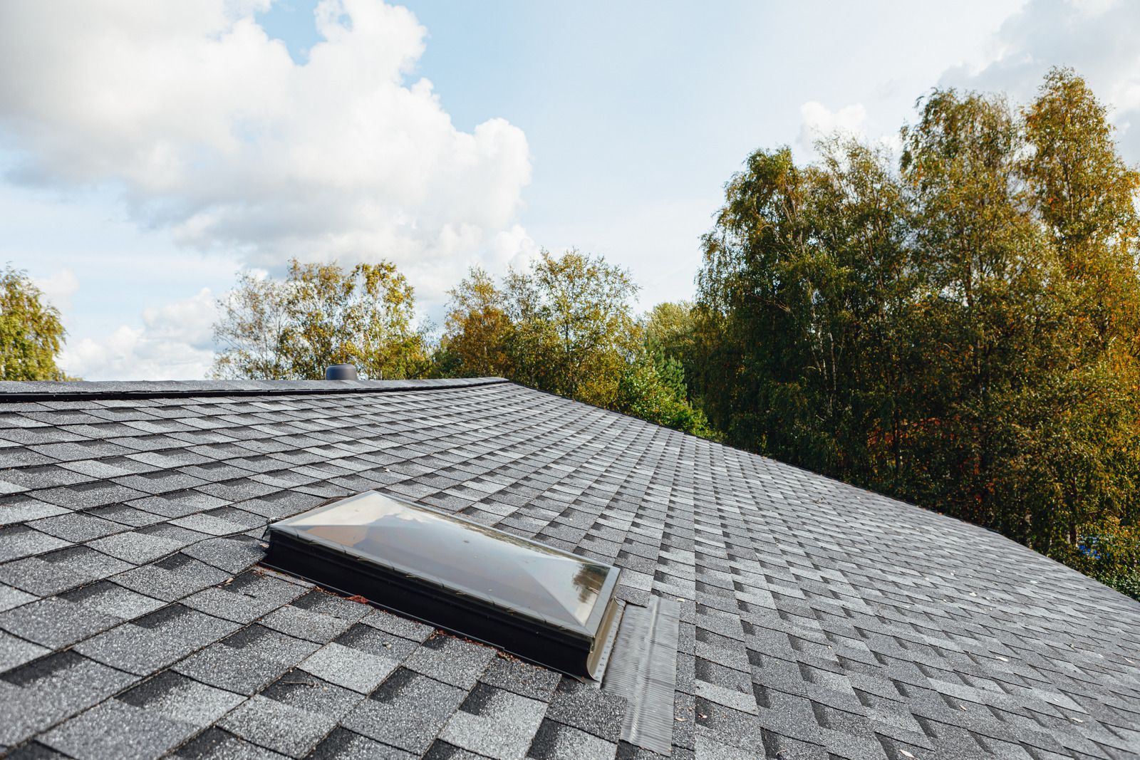 Gray shingled roof with a skylight, seen against trees and a cloudy sky