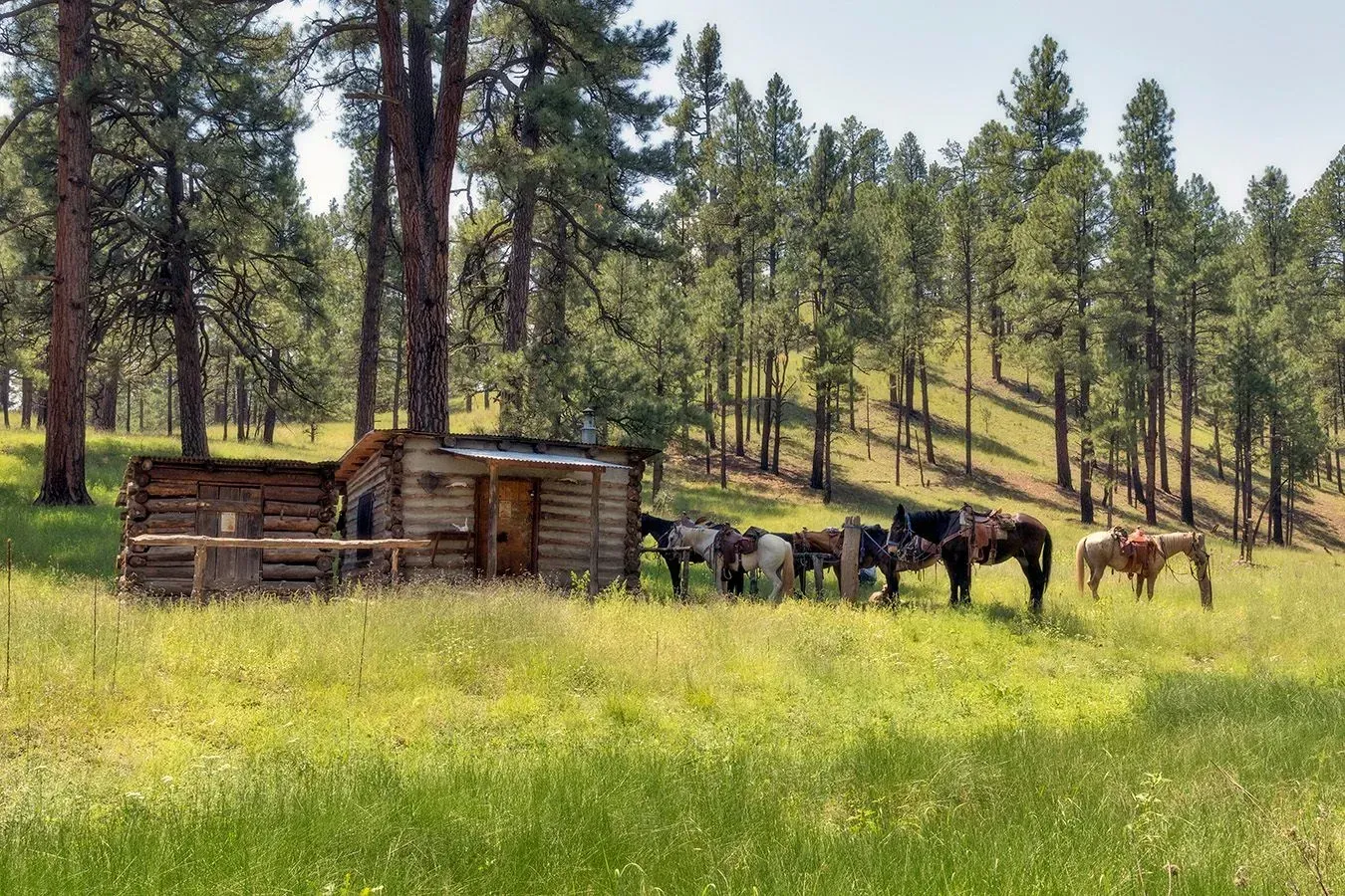 Horses graze near a rustic log cabin and wooden fence in a field of wildflowers.