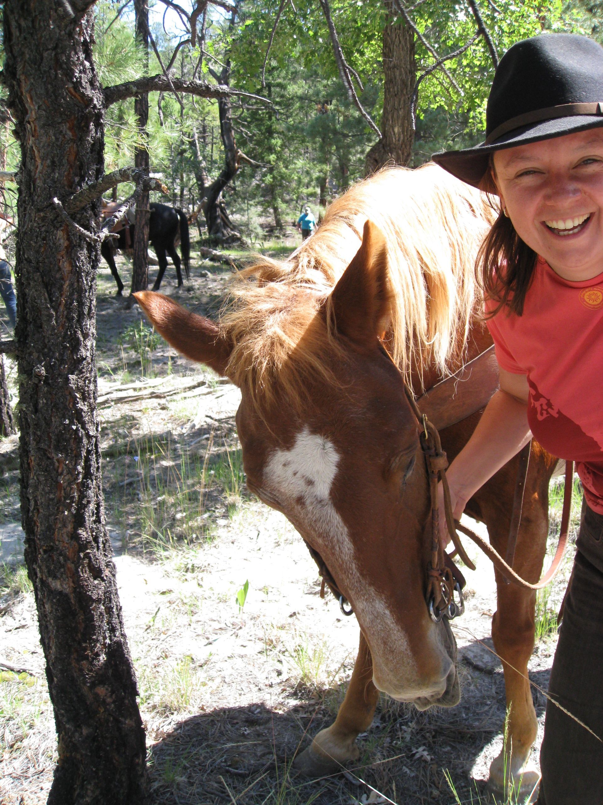 Smiling rider in black hat beside chestnut horse on a wooded trail