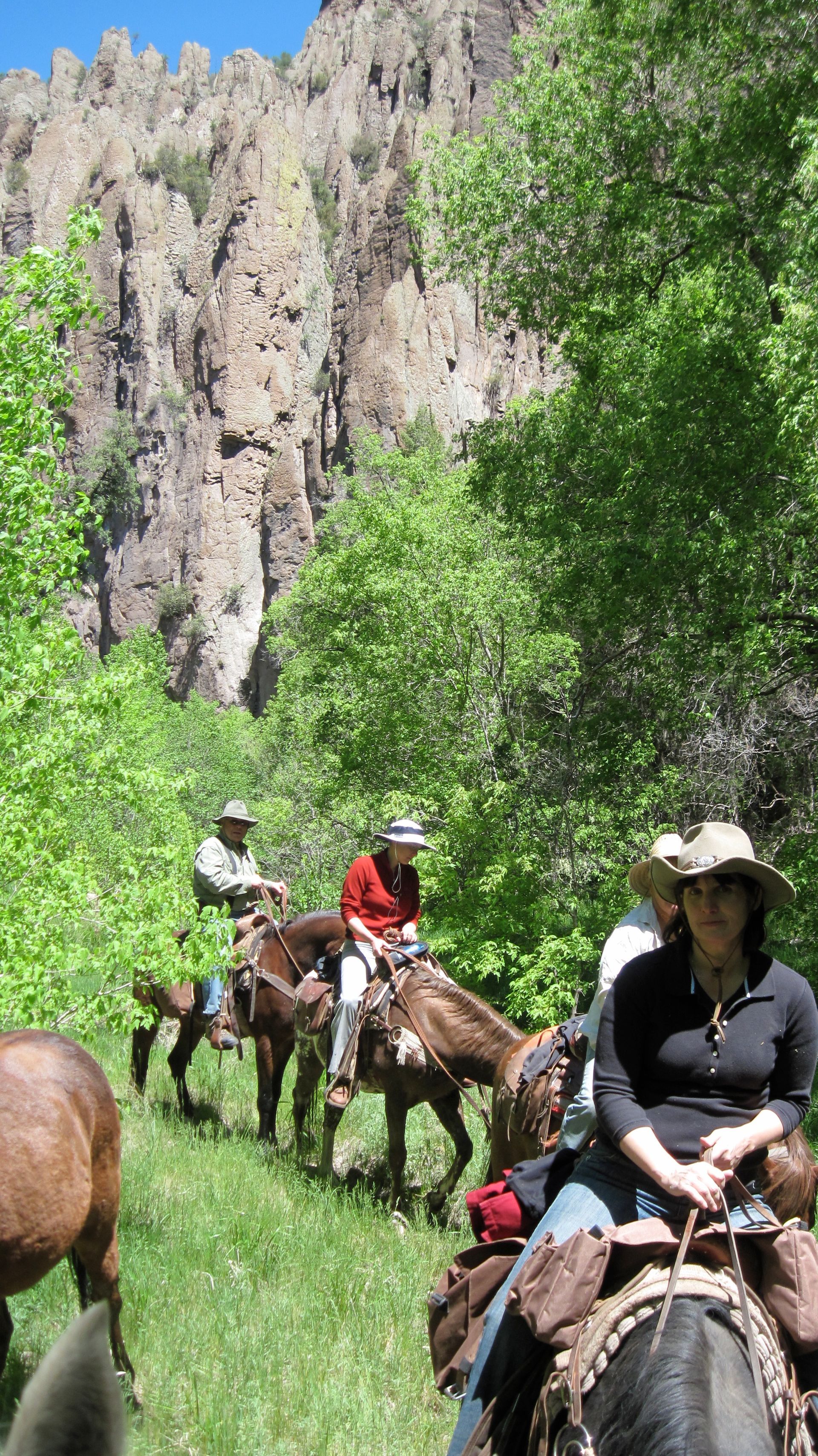 People horseback riding on a green trail beside rocky cliffs and trees under bright sun