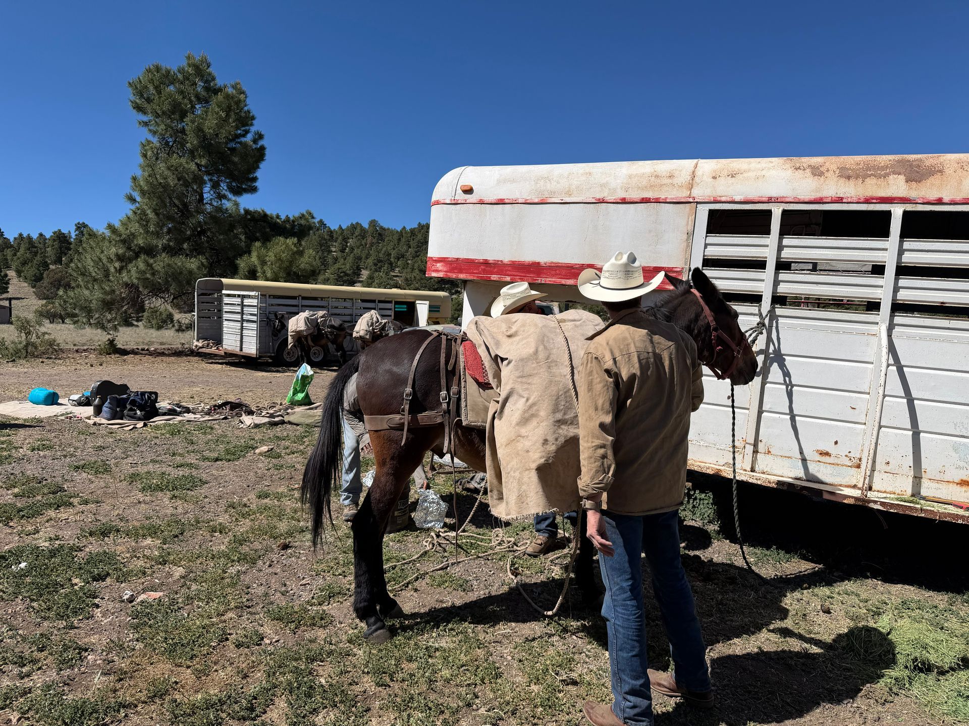 Person in a white hat stands beside a saddled horse next to a trailer in a rural field.
