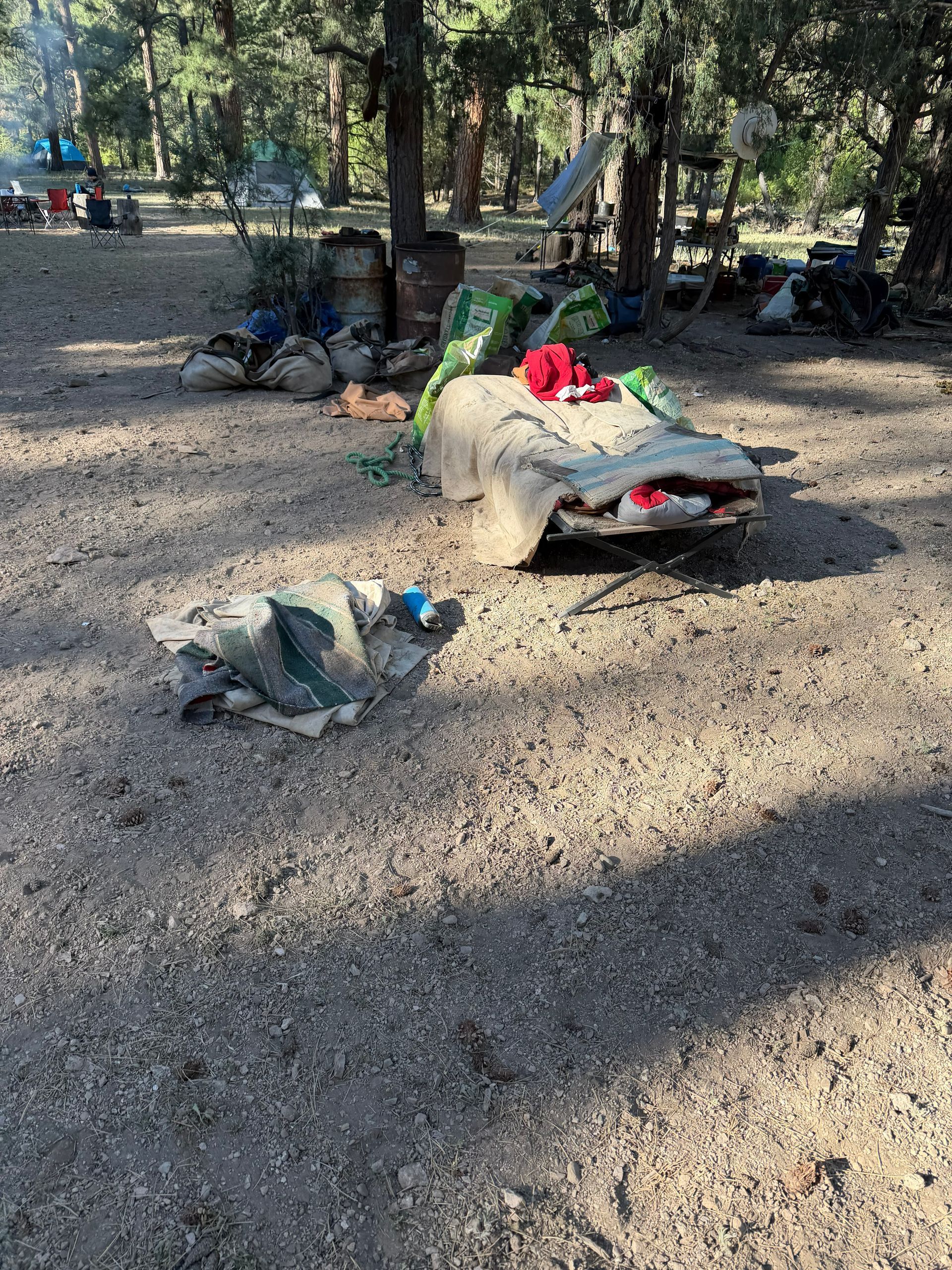 Outdoor campsite with people resting on benches under trees, with backpacks and blankets on the ground.