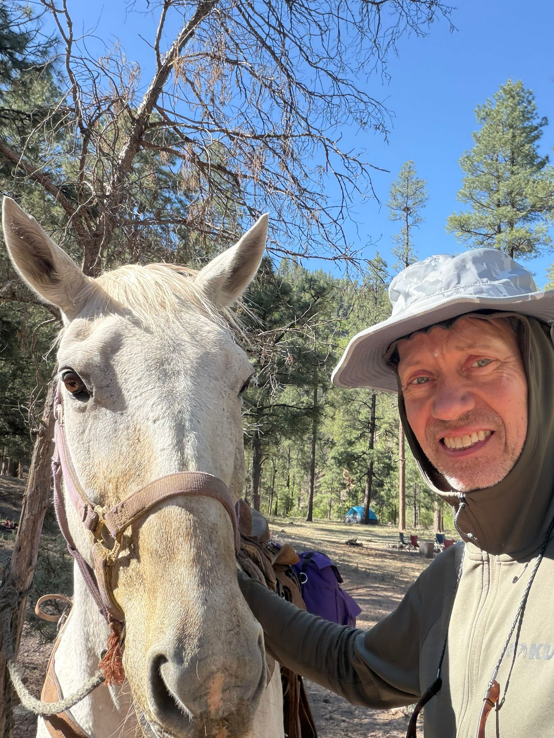 Man in a sun hat smiling beside a white donkey outdoors under a clear blue sky