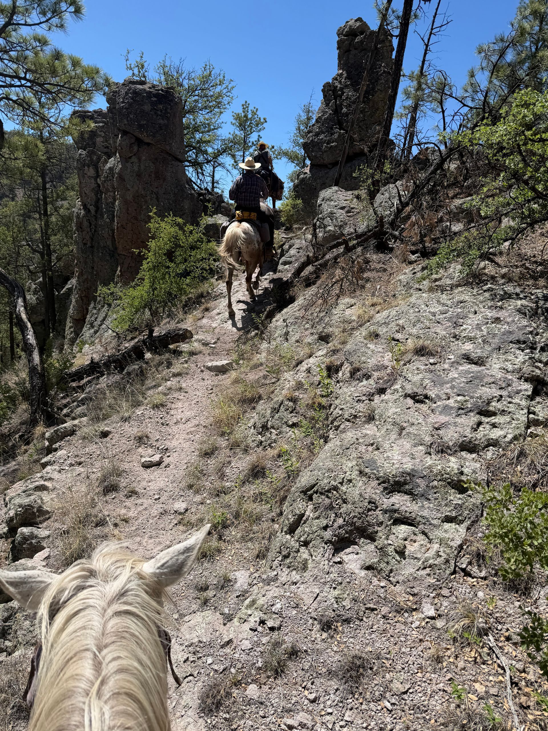 Horseback riders on a rocky hillside trail with trees and blue sky