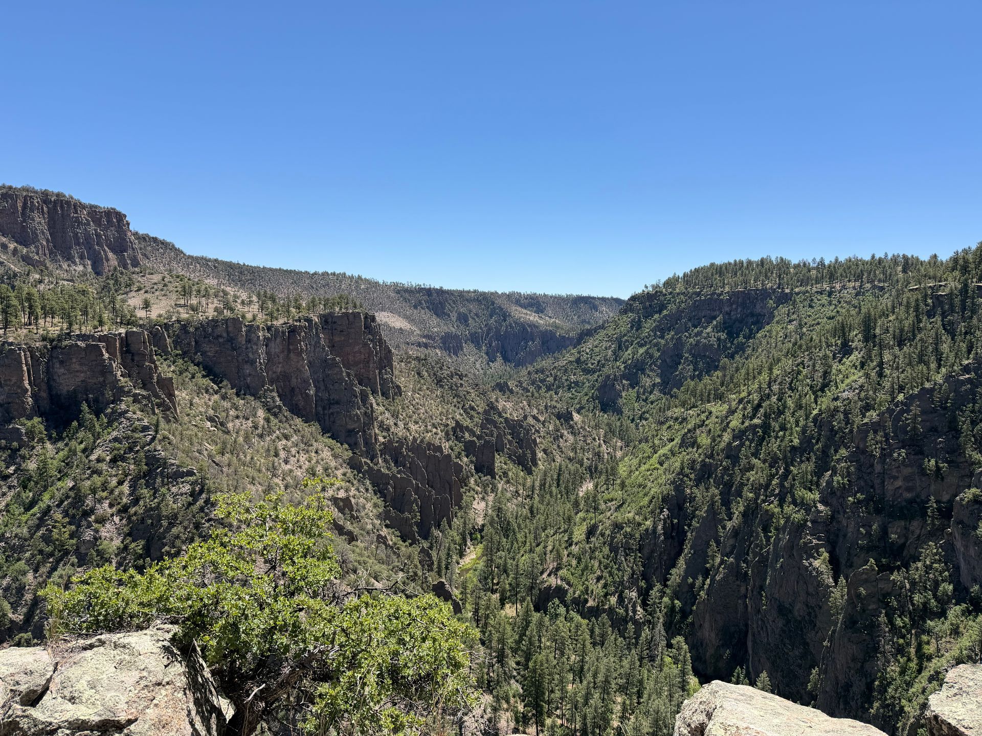 Wide canyon with steep rocky cliffs, dense green forest, and a clear blue sky