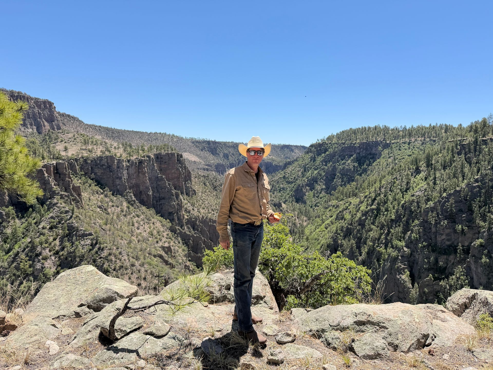 Person in a cowboy hat stands on a rocky overlook with a forested canyon and blue sky behind.