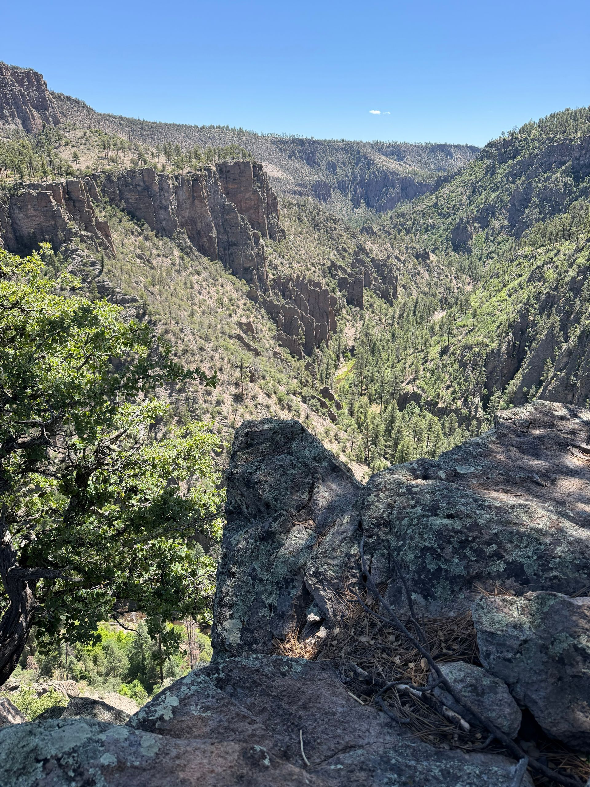 Rocky canyon overlook with green forested hills under a clear blue sky