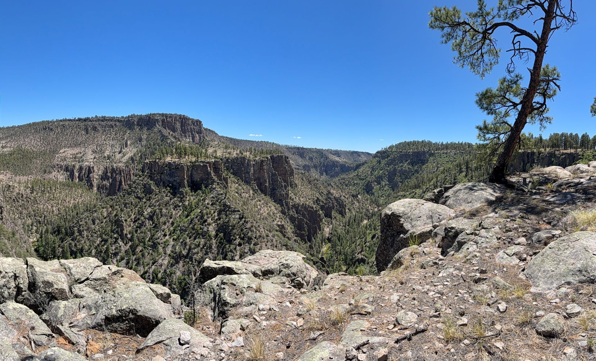 Rocky canyon overlook with forested cliffs under a clear blue sky