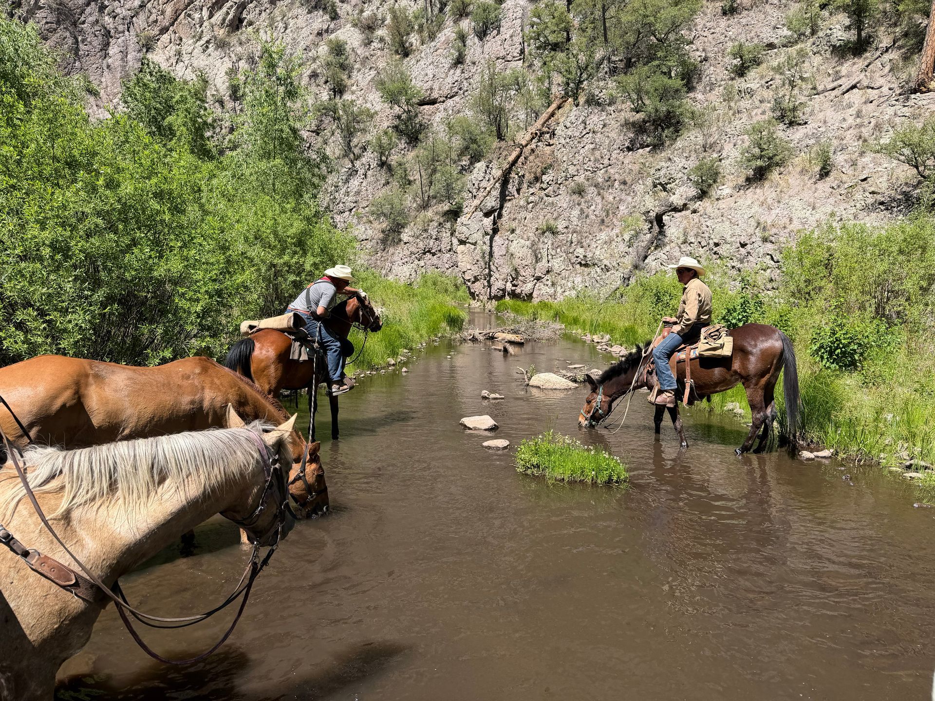 Two riders on horses wade through a shallow river beside a rocky embankment and green vegetation