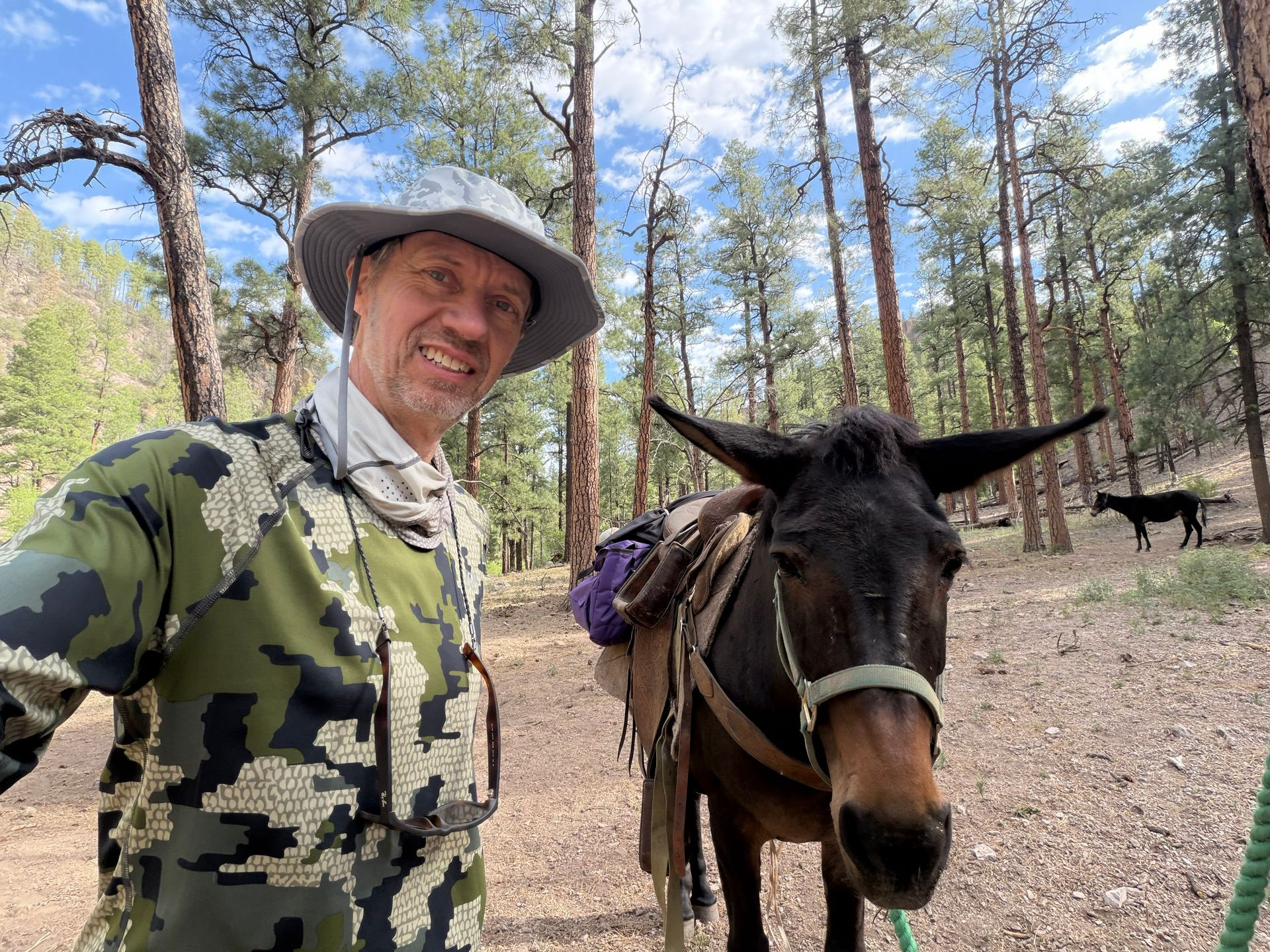 Man in camo hat standing beside a saddled donkey in a pine forest