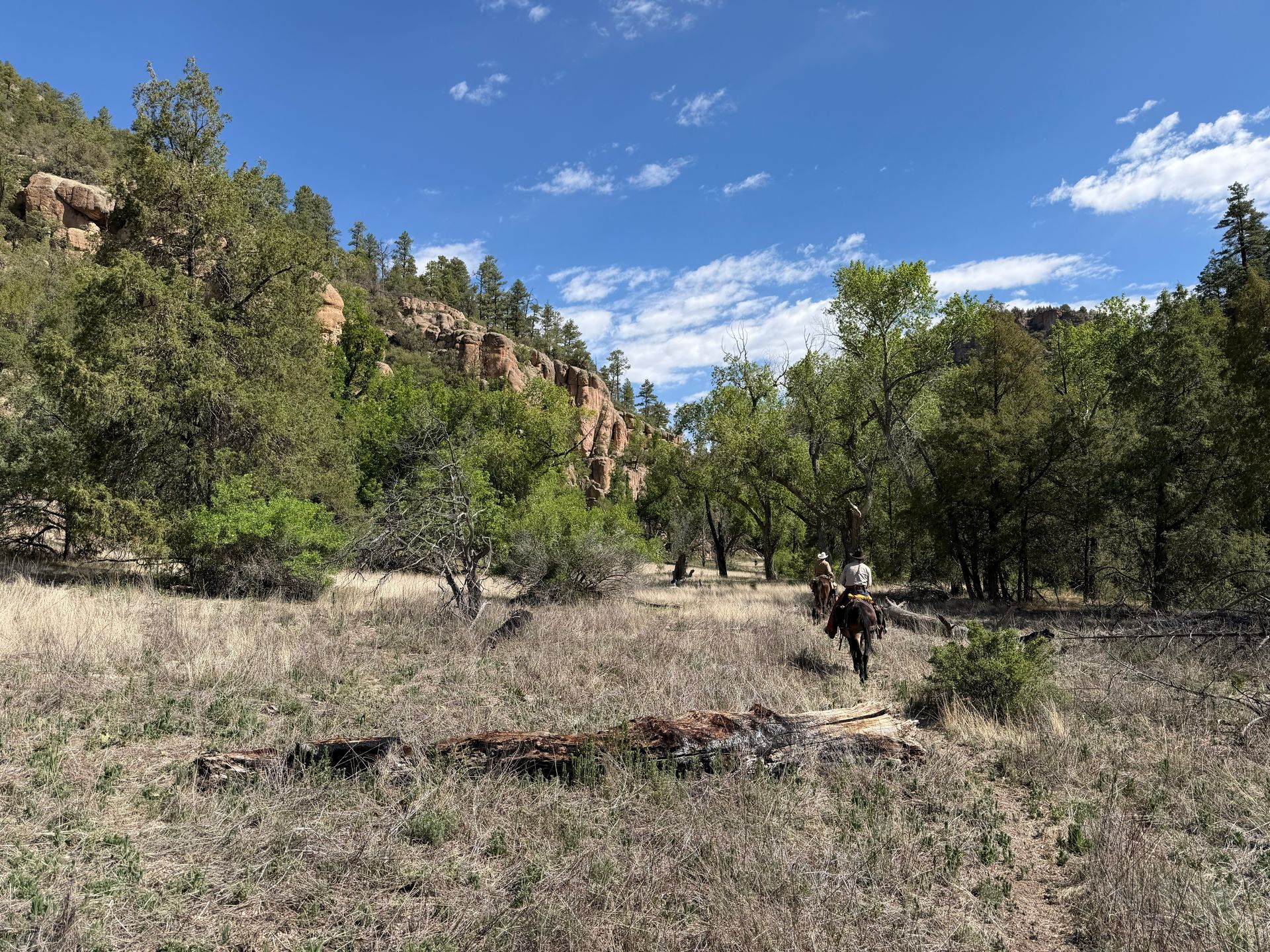 A person in a grassy canyon with trees, rocky cliffs, and a blue sky with clouds.