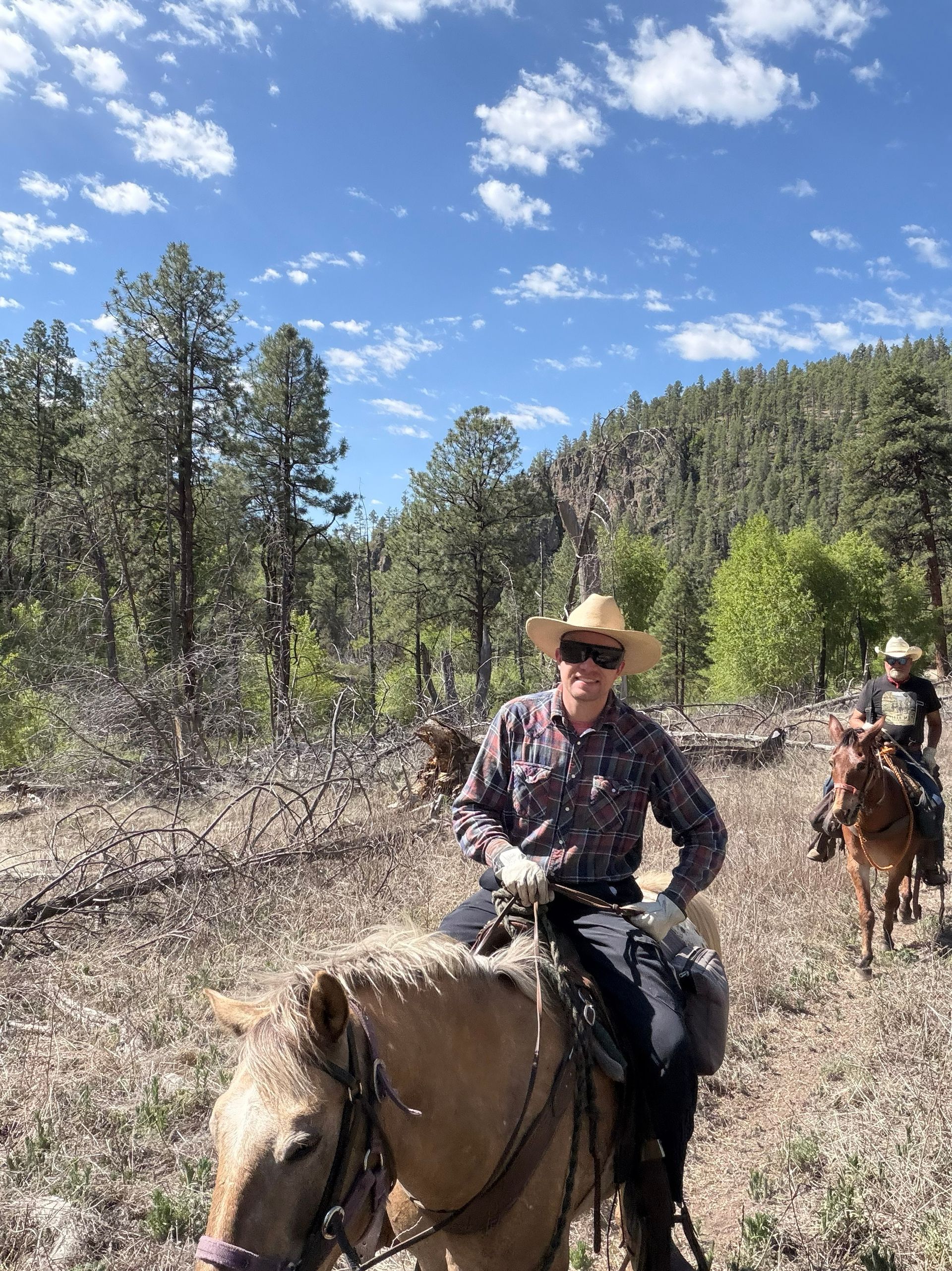 Person horseback riding on a trail in a sunny wooded area with blue sky and clouds.
