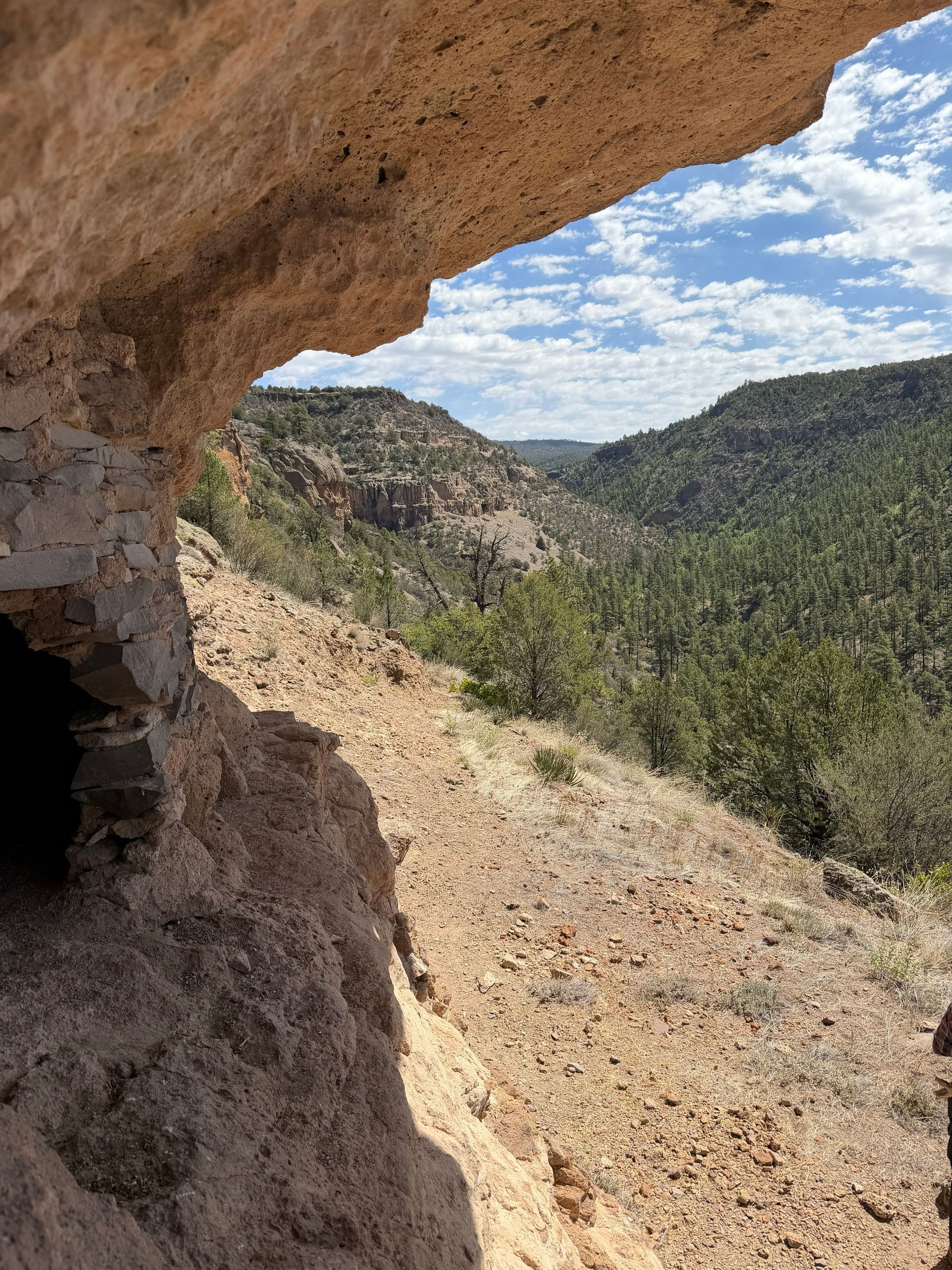 Rocky canyon overlook with a tan cave opening, pine-covered hills, and a cloudy sky.