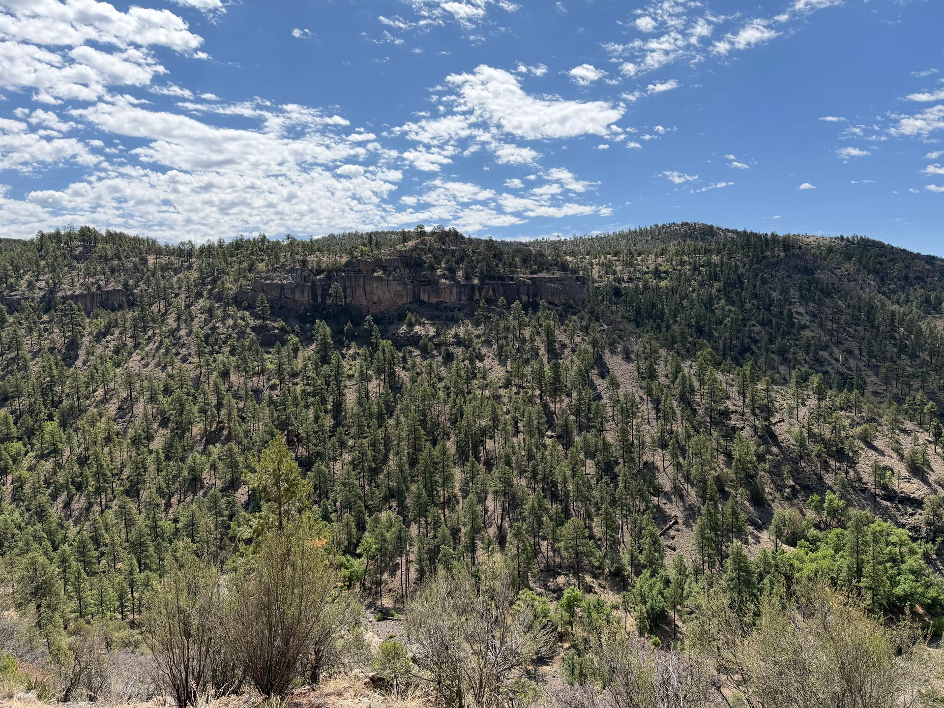 Rocky canyon cliff under a blue sky with scattered clouds and sparse desert shrubs