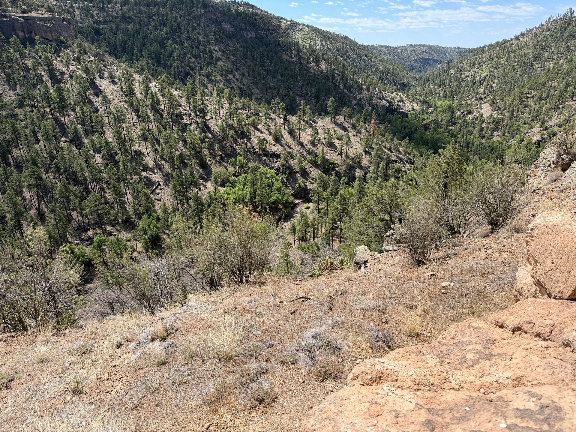 Rocky canyon with green hills and sparse shrubs under a clear blue sky