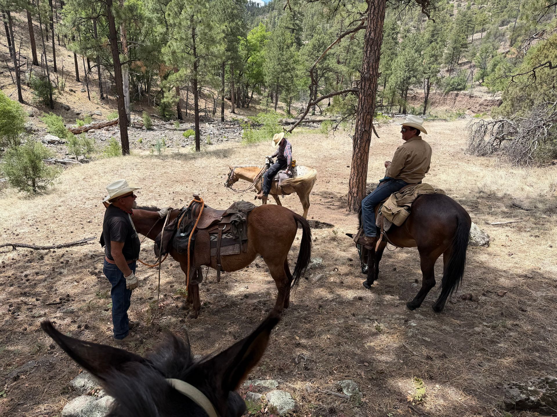 Two riders on horseback in a wooded trail, with a person standing beside a saddled horse.