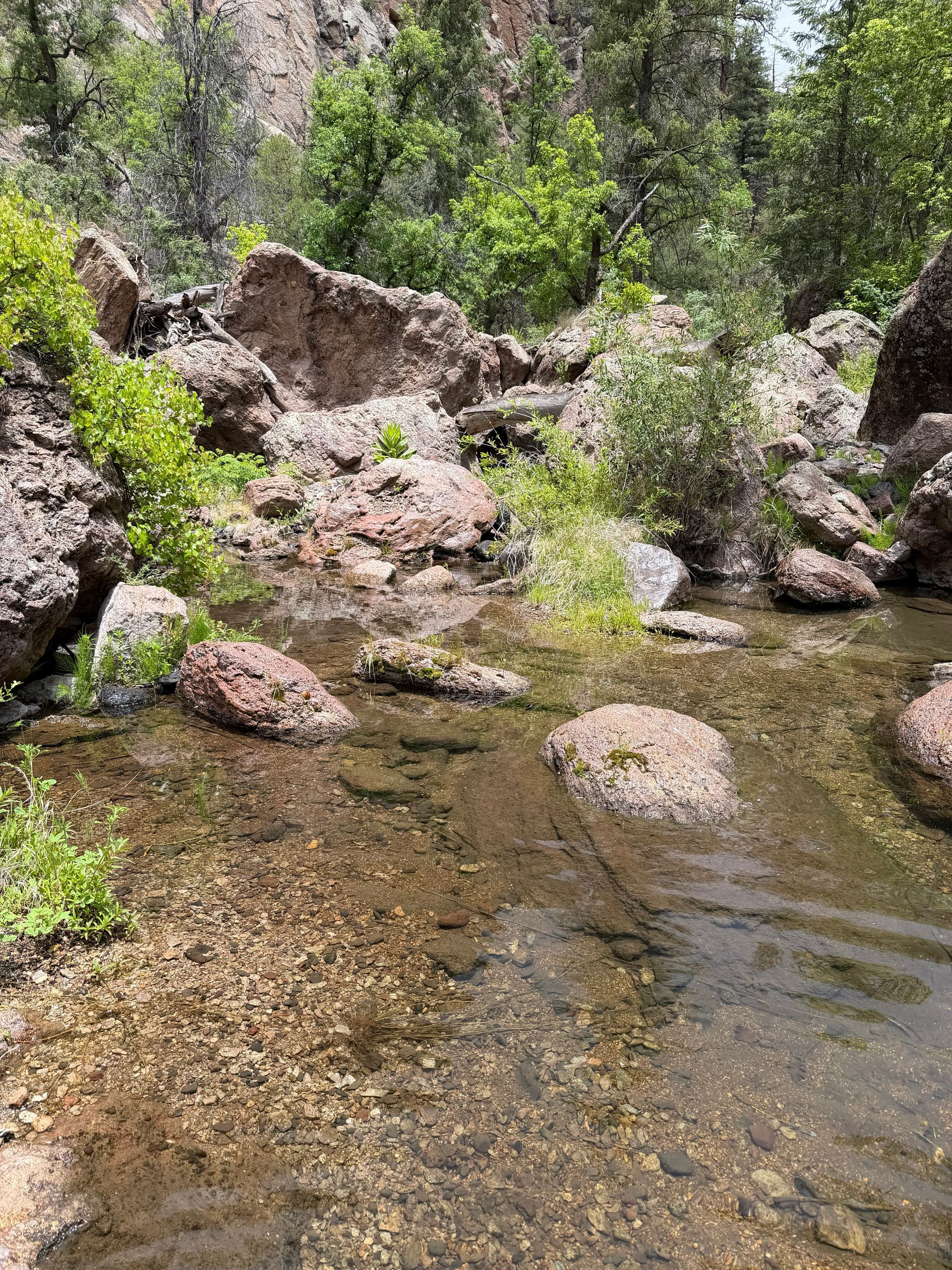 Rocky stream with clear water, pebbles, and green shrubs along the bank