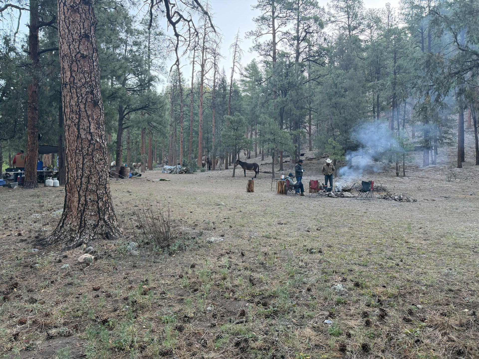 People gathered around a smoky campfire in a forest clearing, with tents and pine trees nearby.