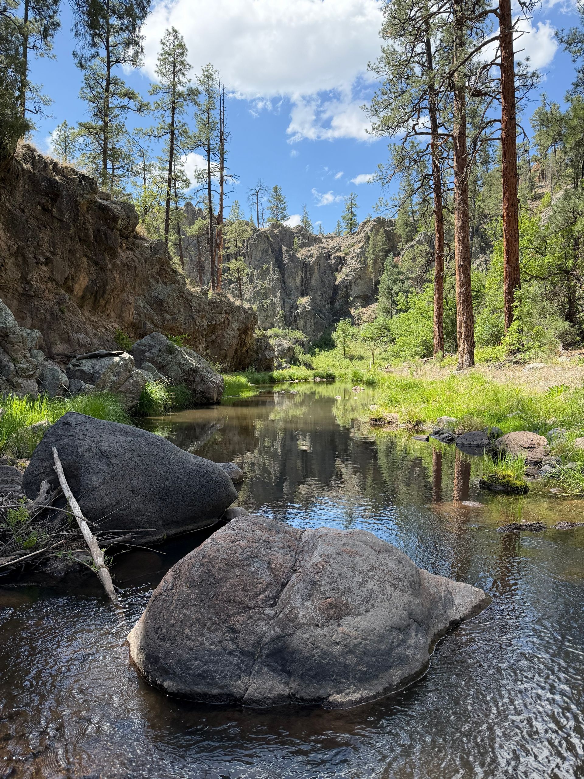 Rocky creek with boulders, pine trees, and a clear blue sky reflecting on calm water