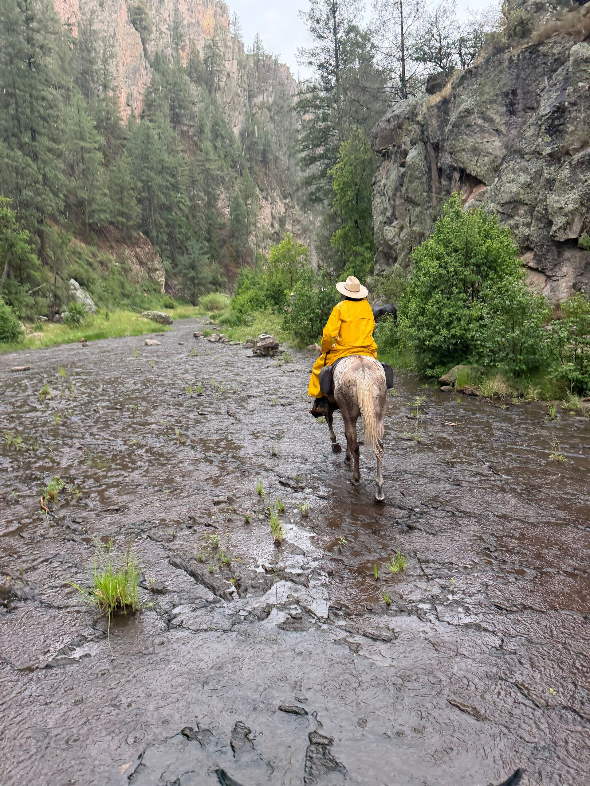 Person in a yellow raincoat riding a horse through a muddy forest trail