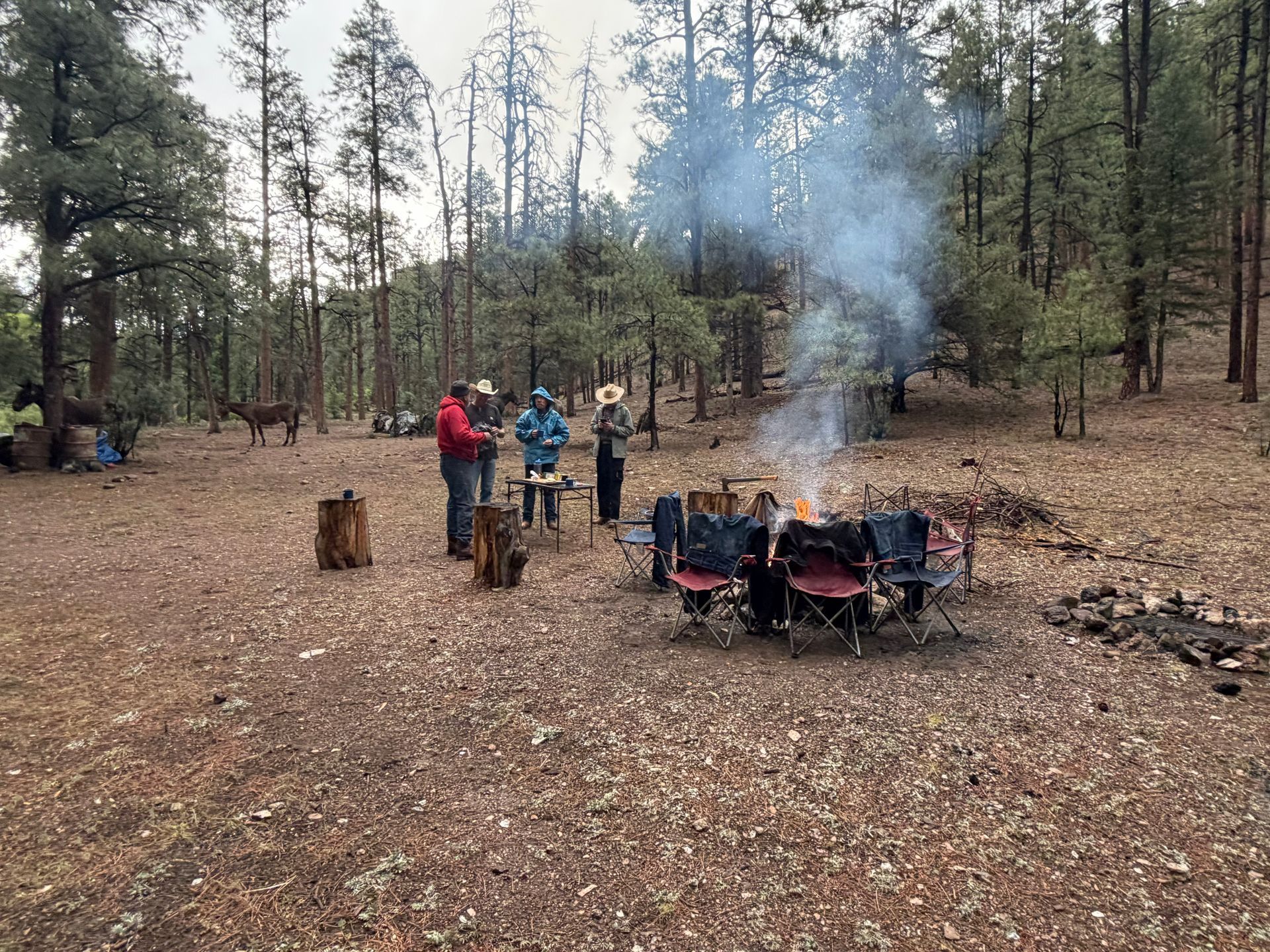 People gathered around a campfire in a wooded forest clearing, with smoke rising.