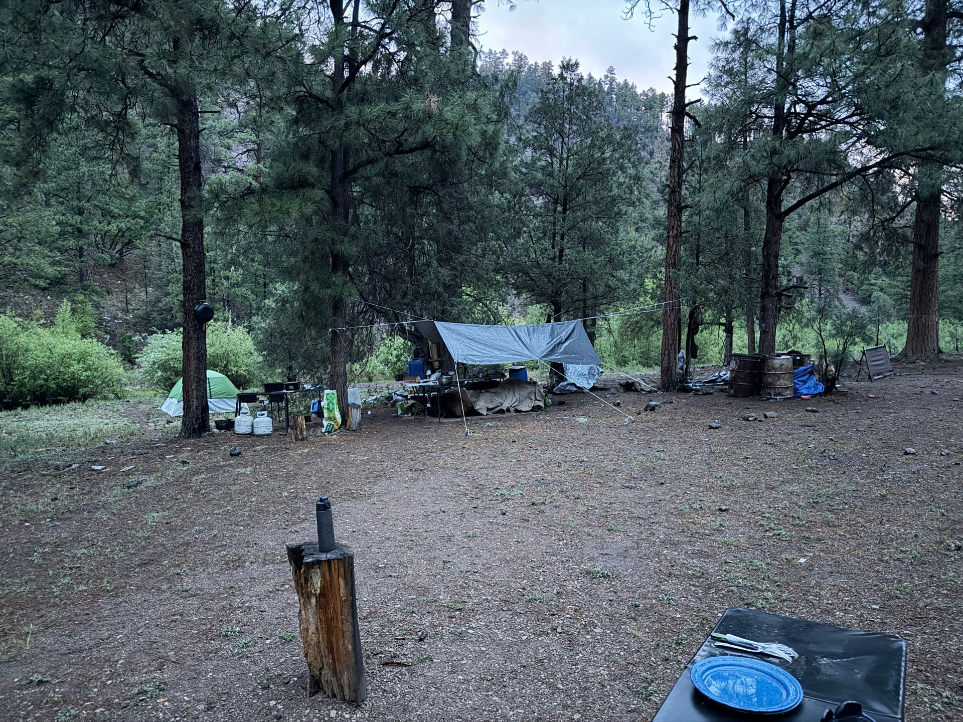 Wooded campsite with a blue tarp shelter, picnic table, and fire pit among tall trees.