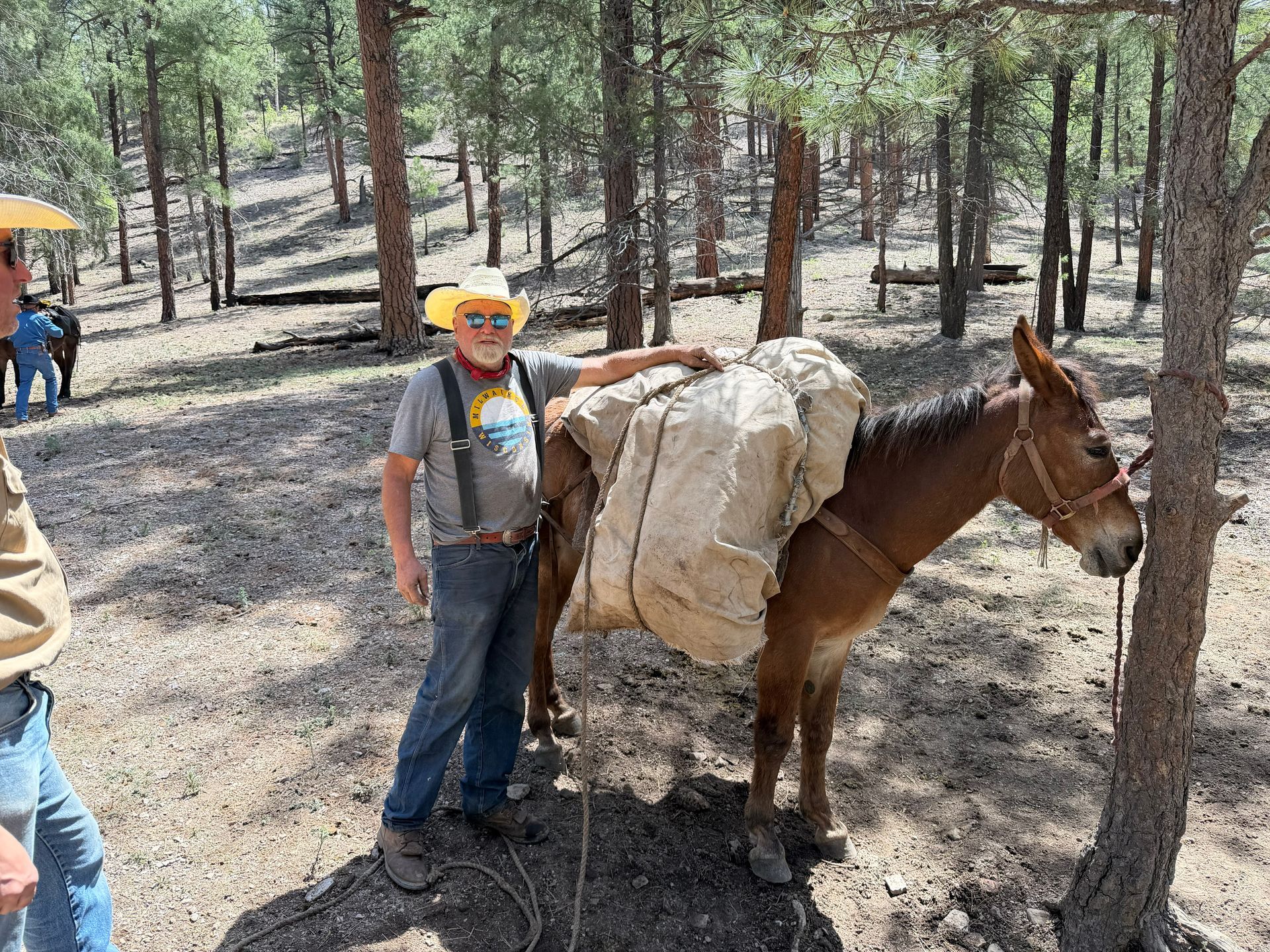 Man standing beside a brown mule loaded with packs in a wooded forest clearing