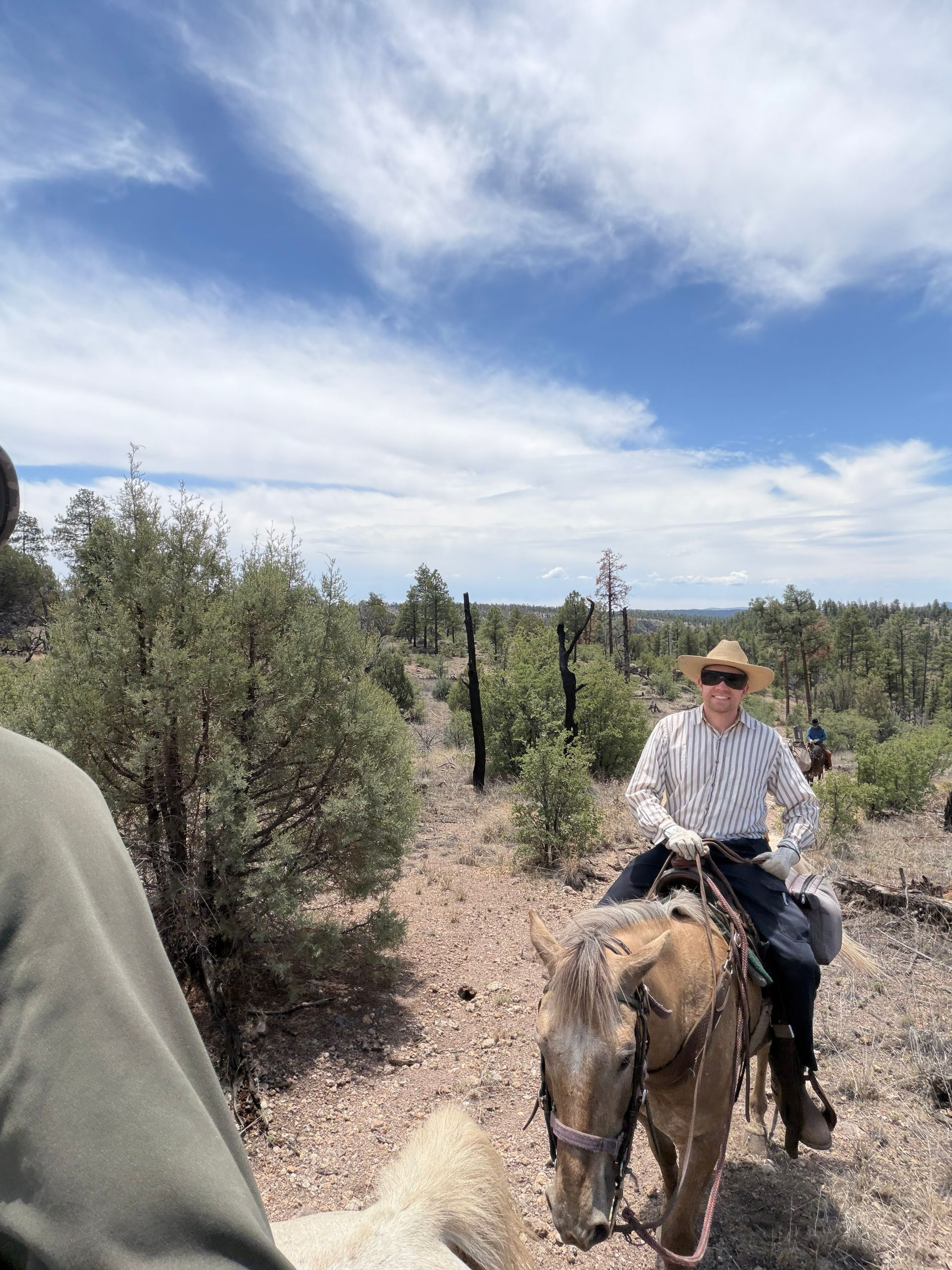 Person riding a donkey on a desert trail under a blue sky with scattered clouds.