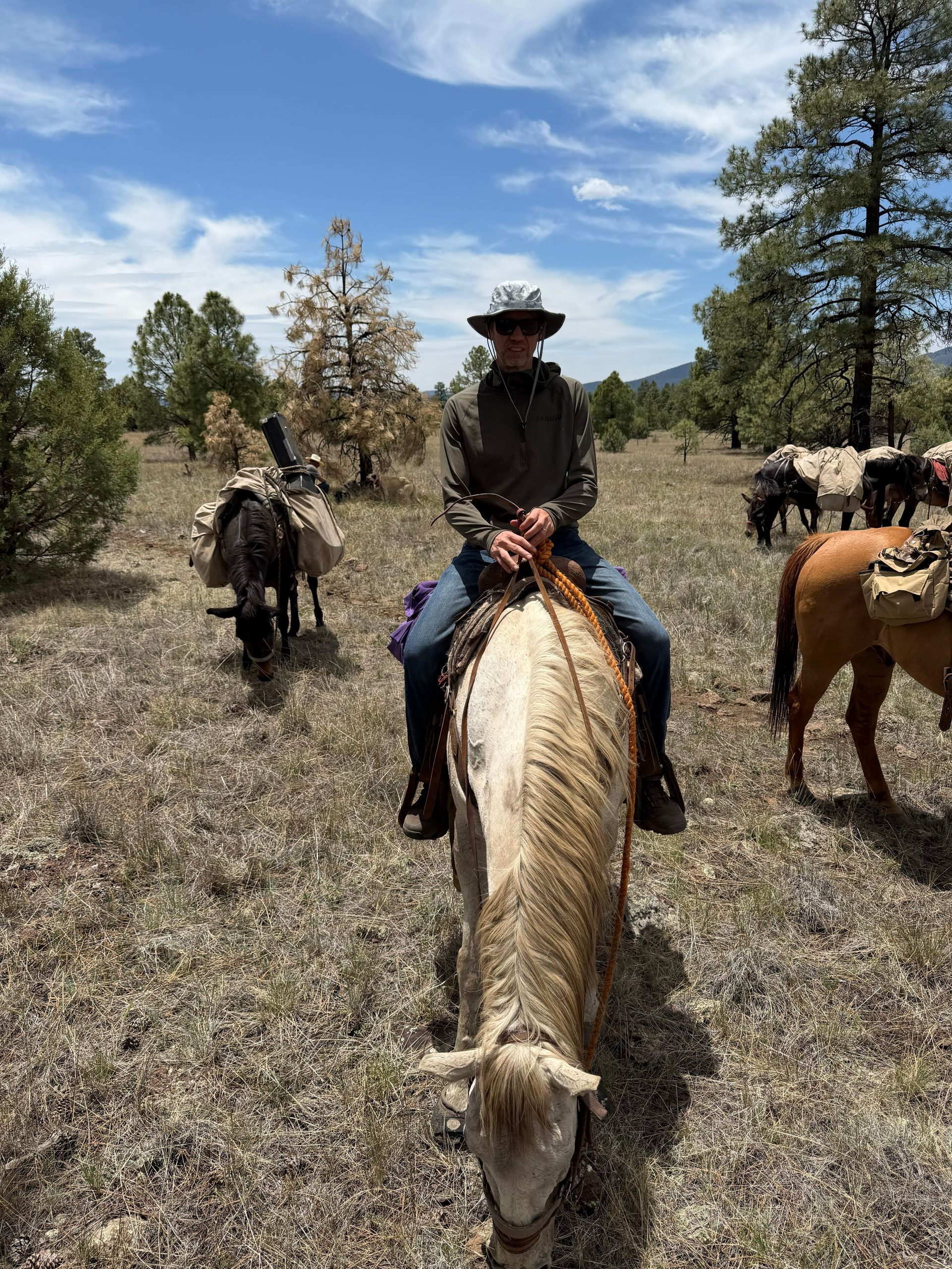 Cowboy riding a white horse on a trail, with other riders and pine trees under a blue sky.