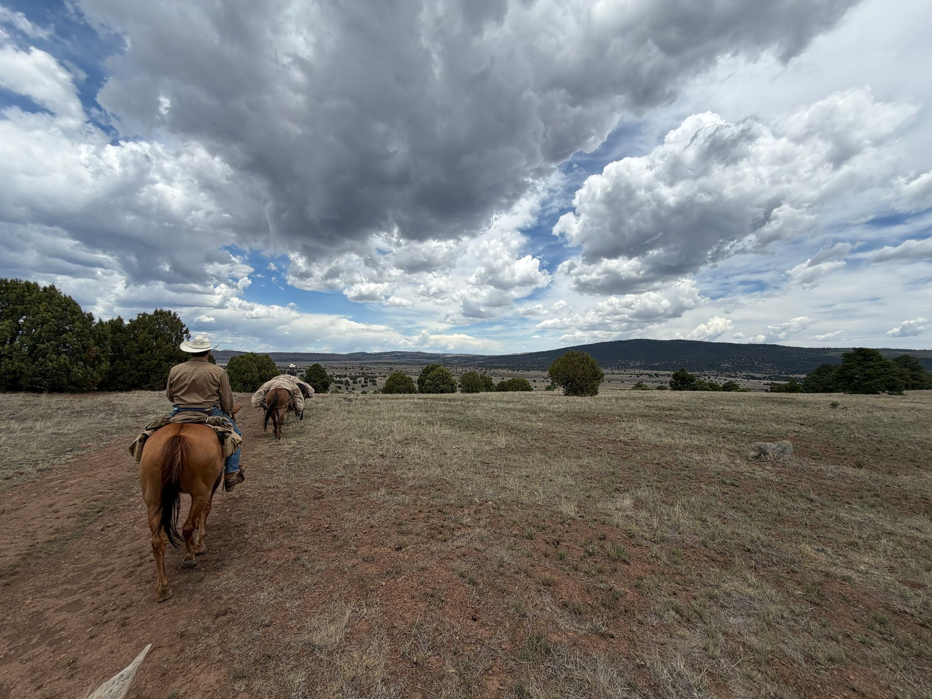 Two riders on horseback cross a grassy field under dramatic cloudy skies.