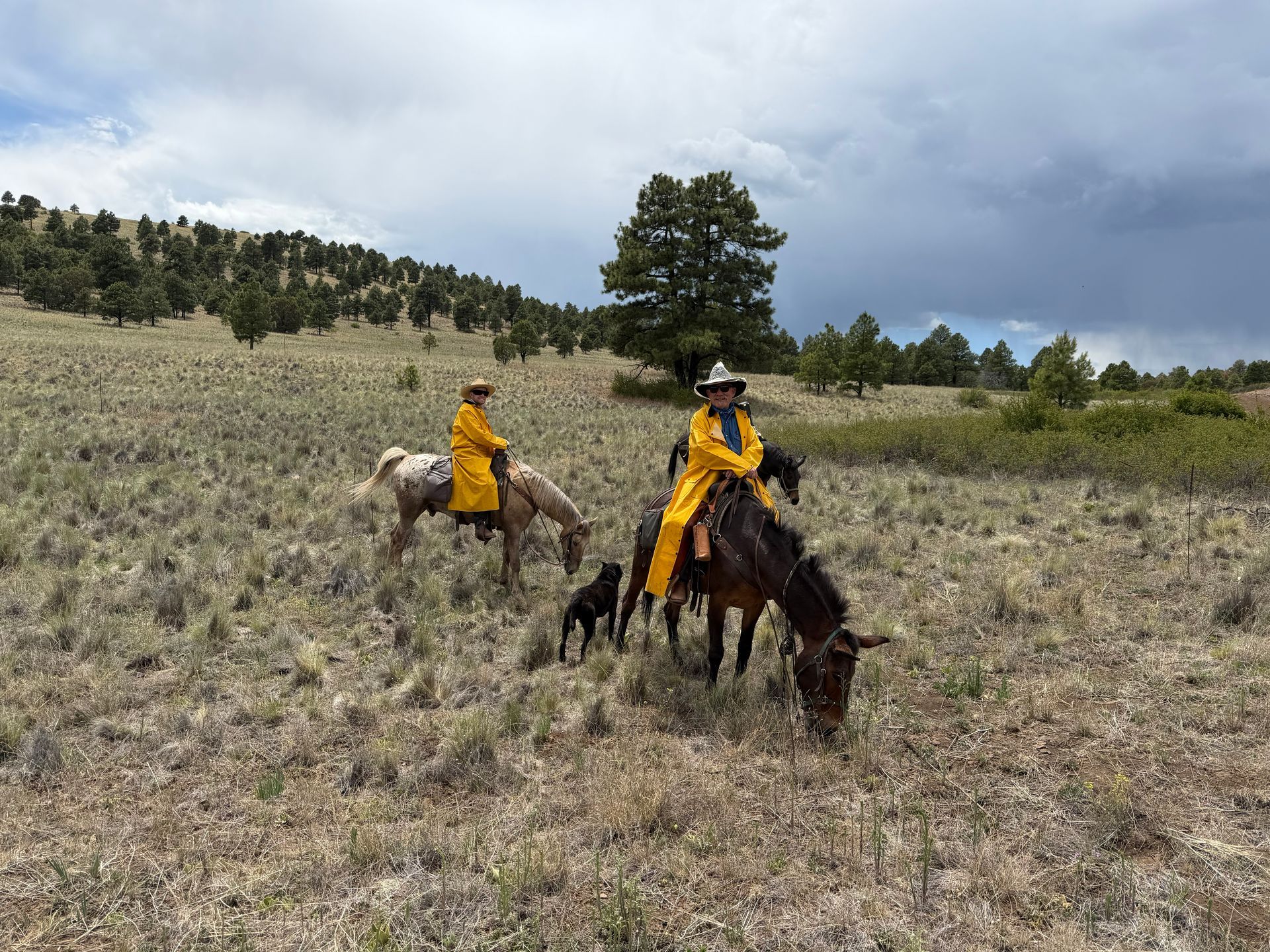 Two riders on horseback in yellow rain gear in a grassy field under cloudy skies