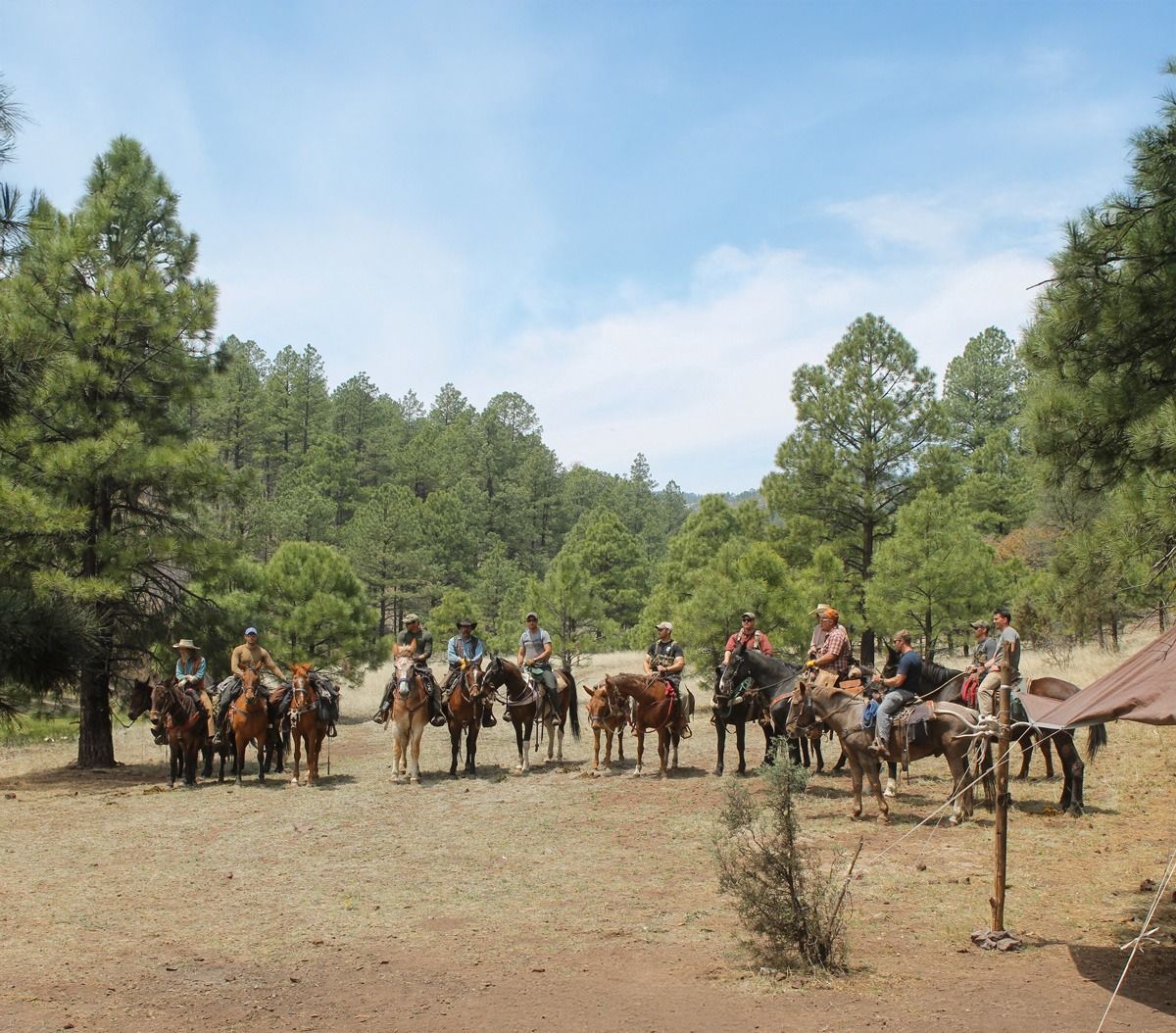 People on horseback in a clearing, surrounded by trees under a blue sky.
